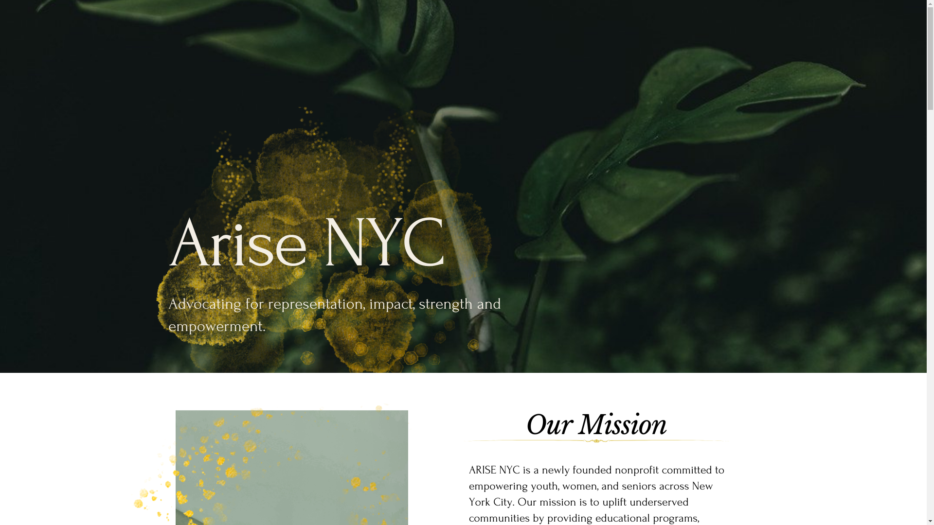 website screenshot of https://arisenyc.org/