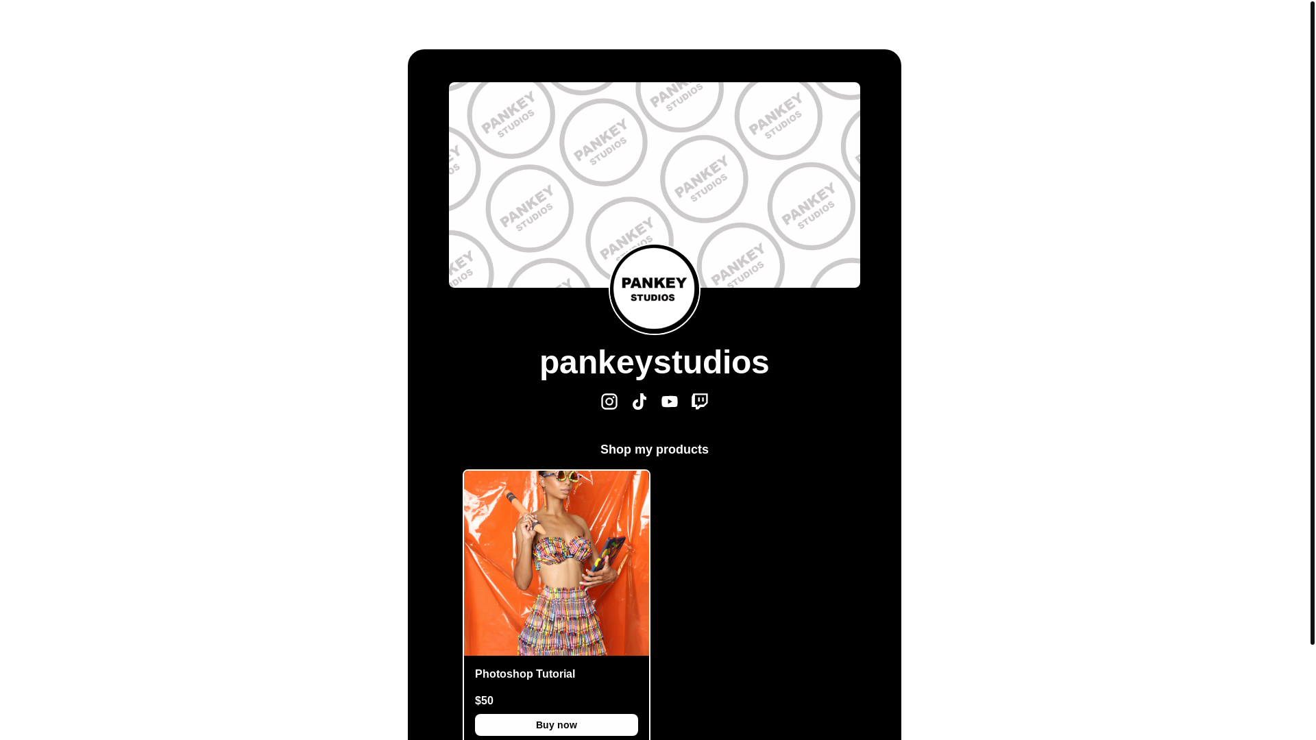 website screenshot of https://pankeystudios.store/