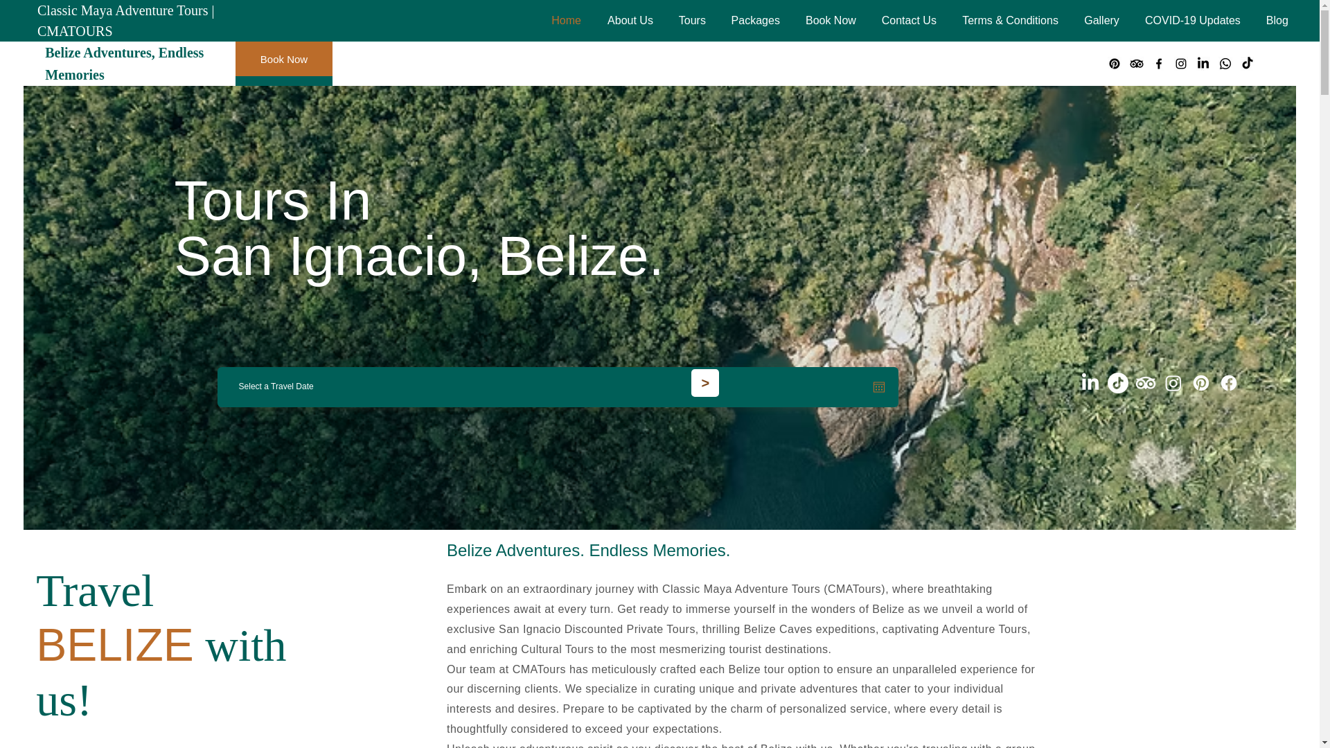 website screenshot of https://toursinsanignacio.com/