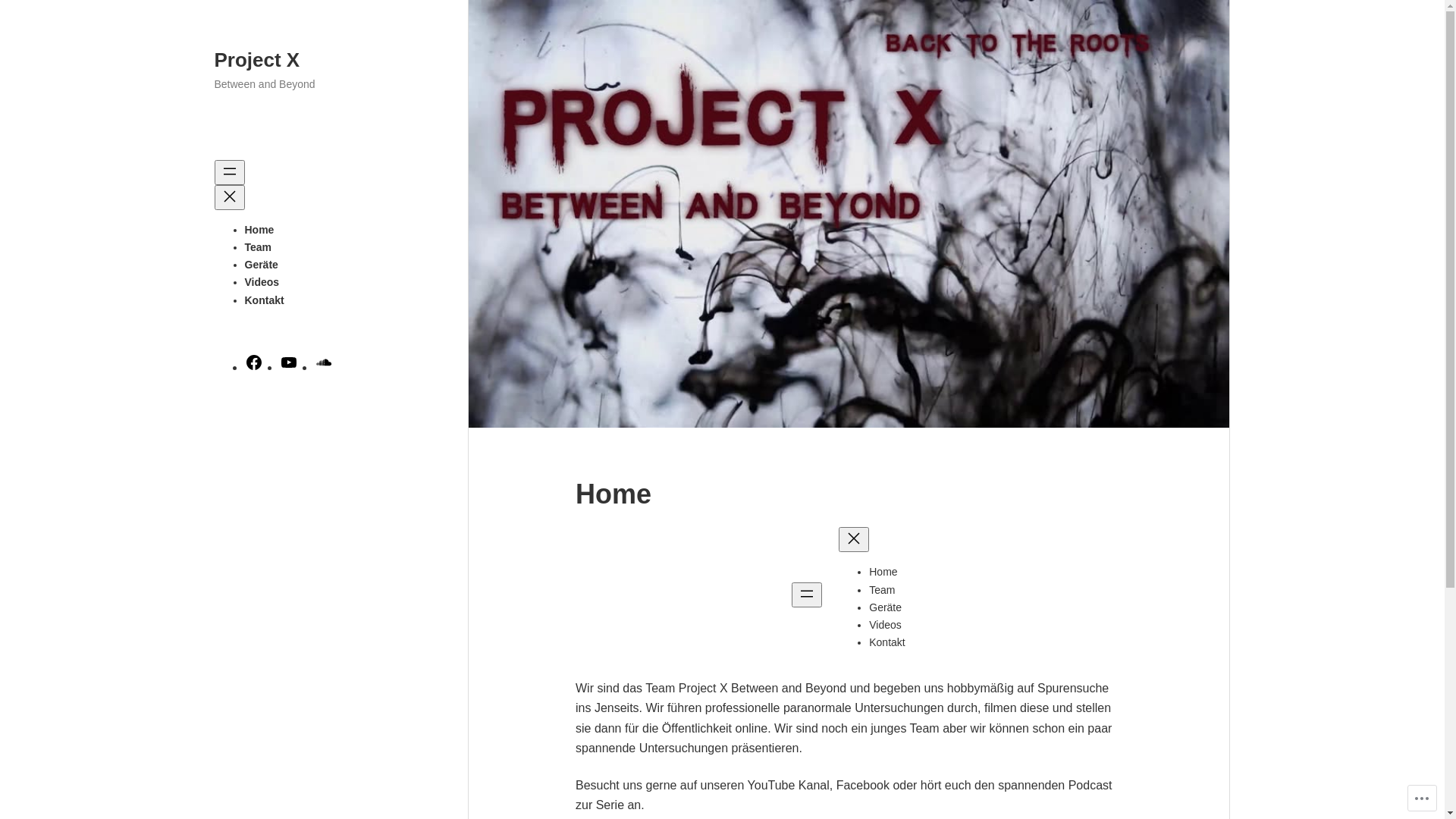 website screenshot of https://projectxbb.de/