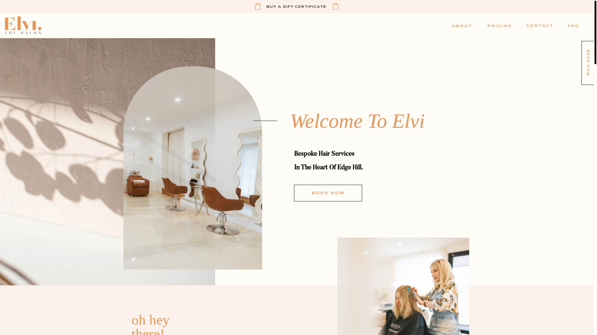 website screenshot of https://elvithesalon.online/