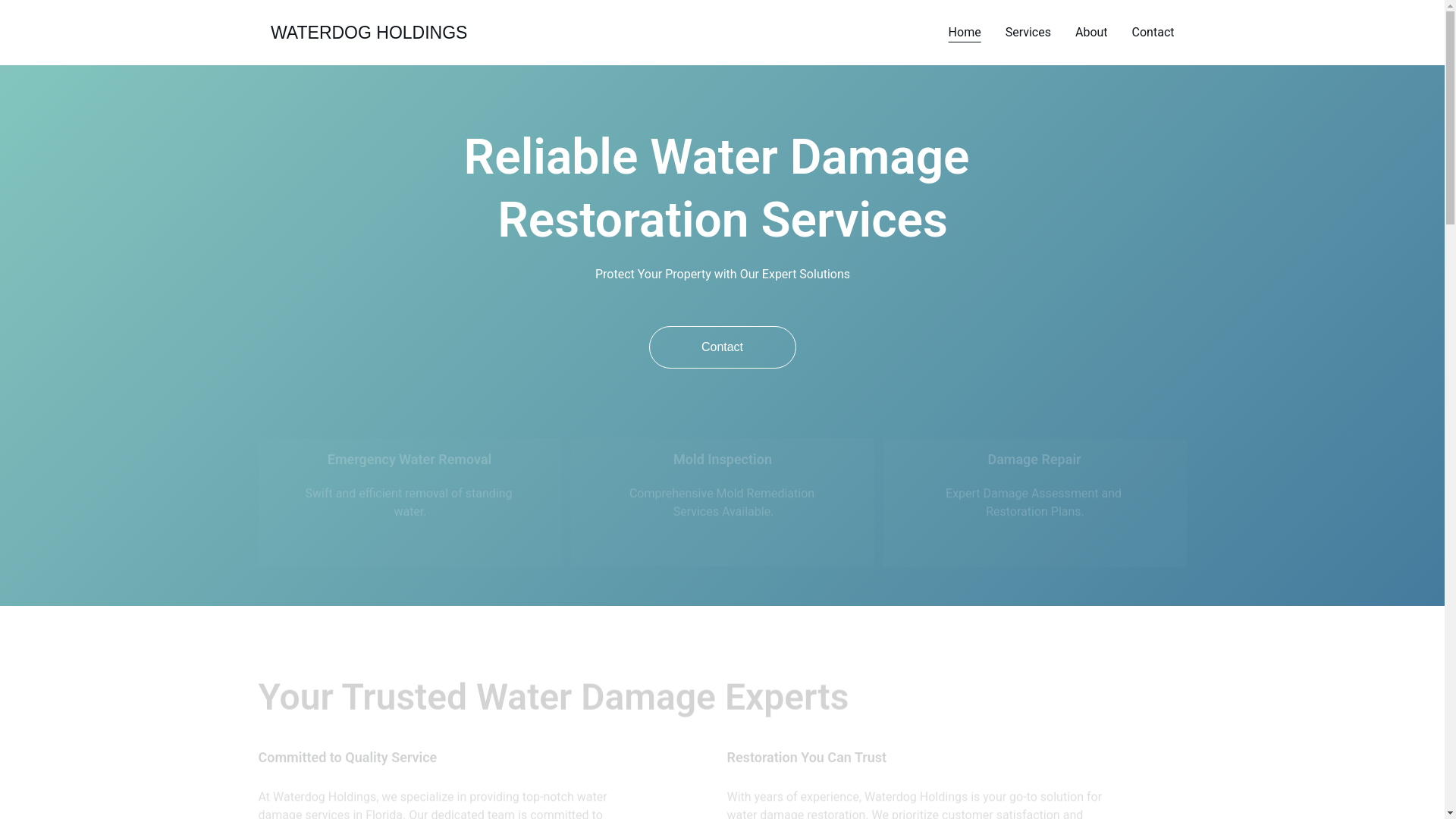 website screenshot of https://waterdogholdingsdamagerestoration.shop/