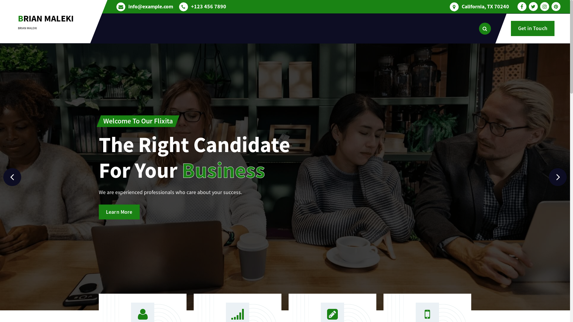 website screenshot of https://brianmaleki.site/
