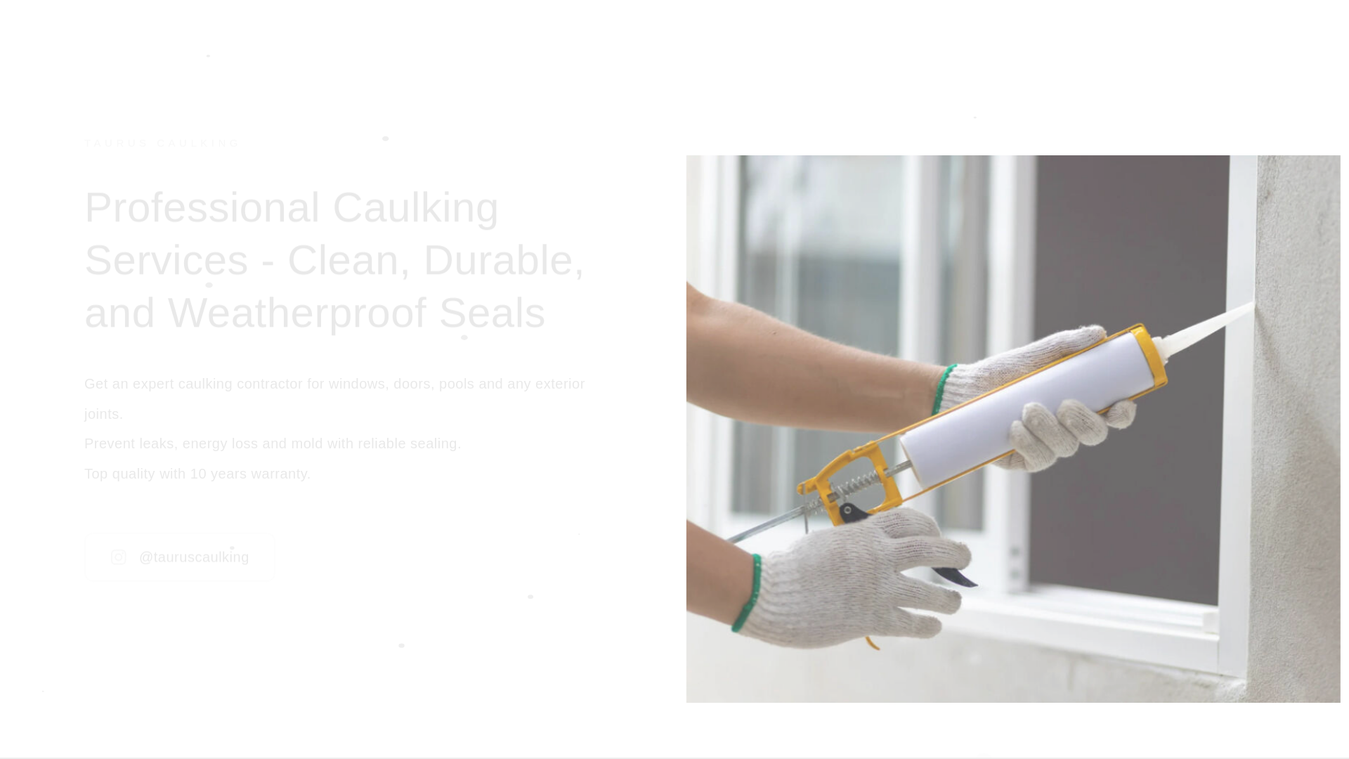 website screenshot of https://tauruscaulking.com/