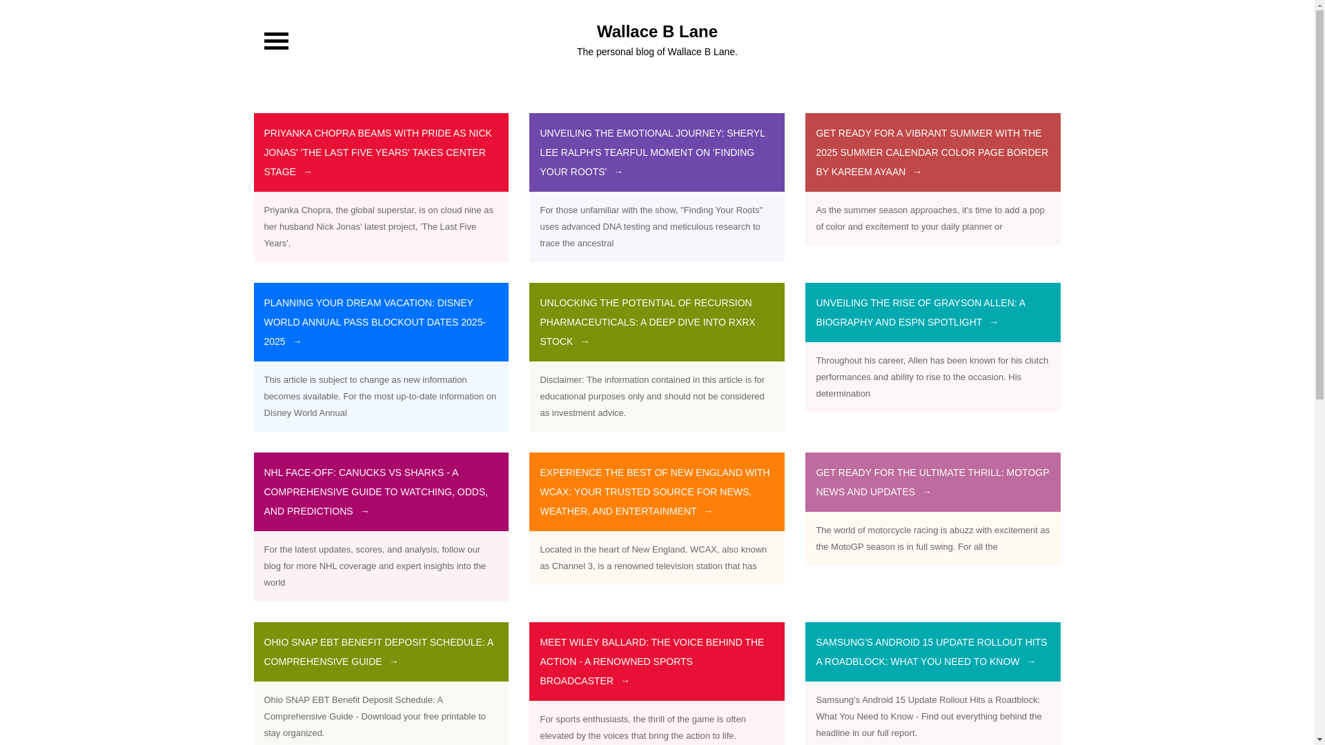 website screenshot of https://wallaceblaner.pages.dev/