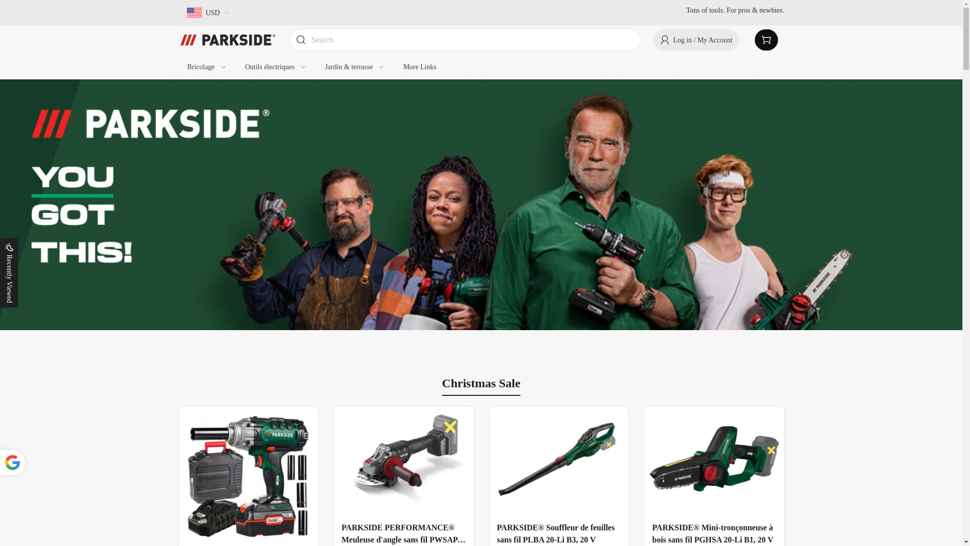 website screenshot of https://parvipatpp.com/