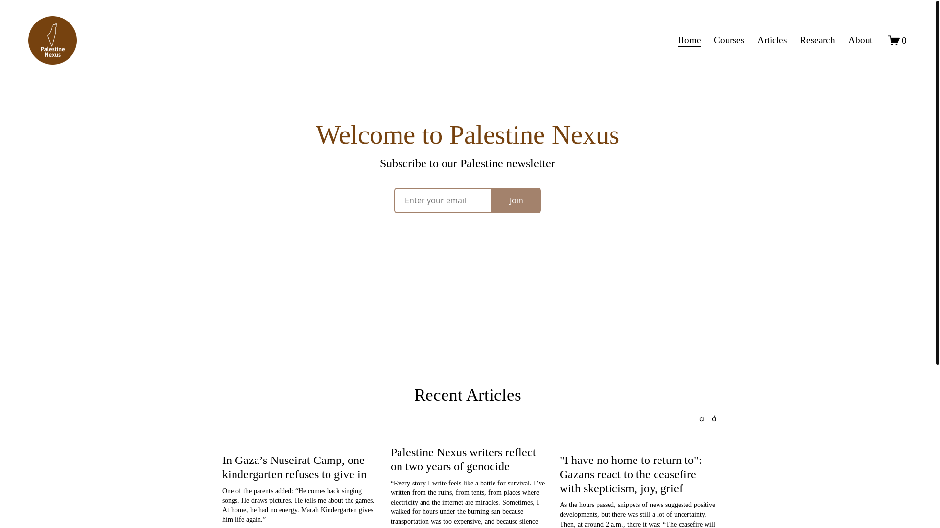 website screenshot of https://palestinenexus.com/
