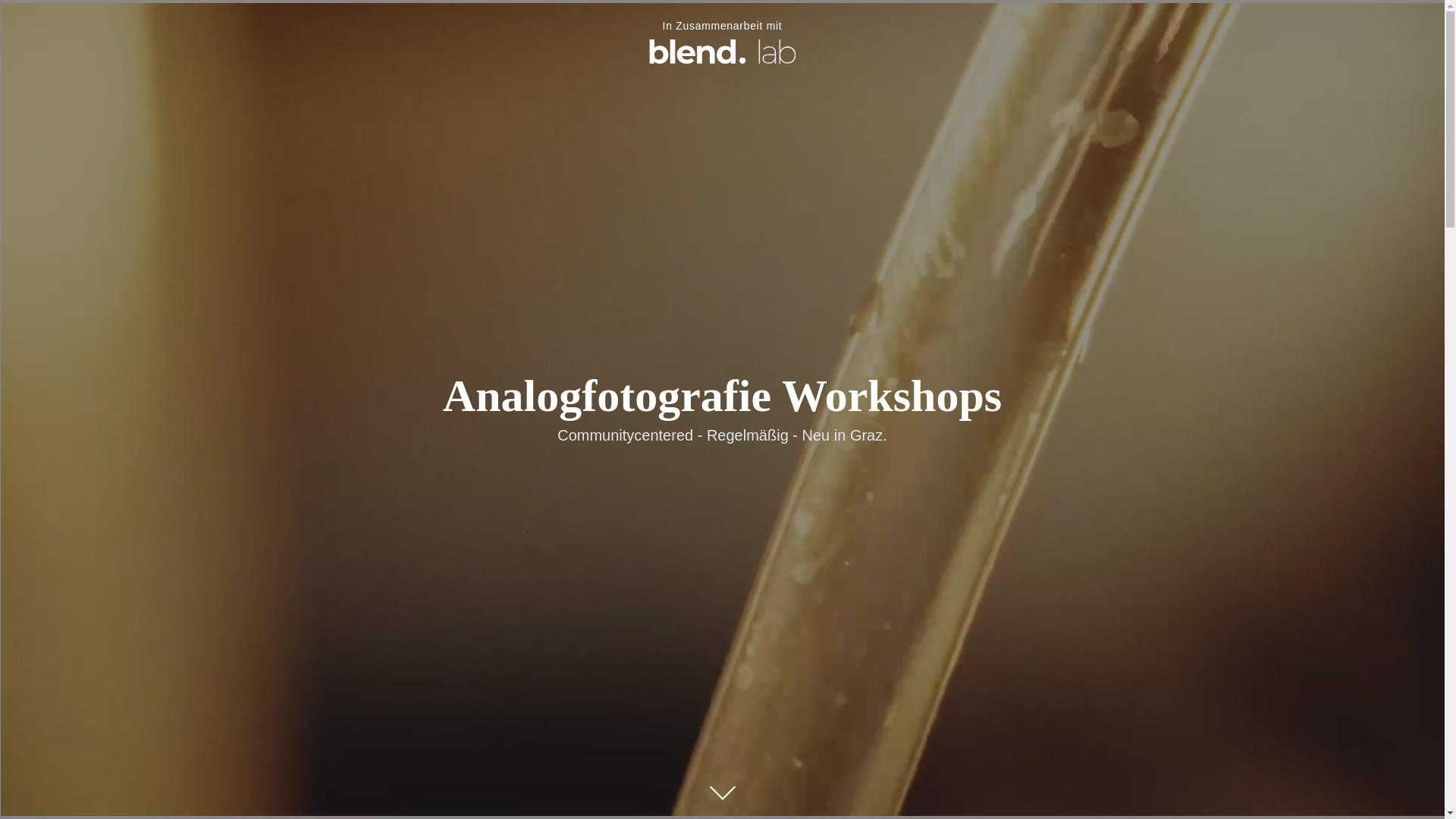 website screenshot of https://analogworkshops.at/