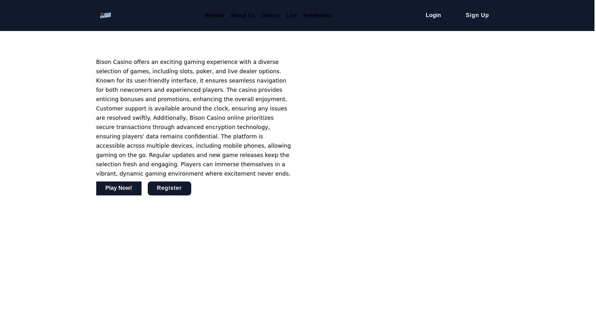 website screenshot of https://bisoncasino.co.uk/