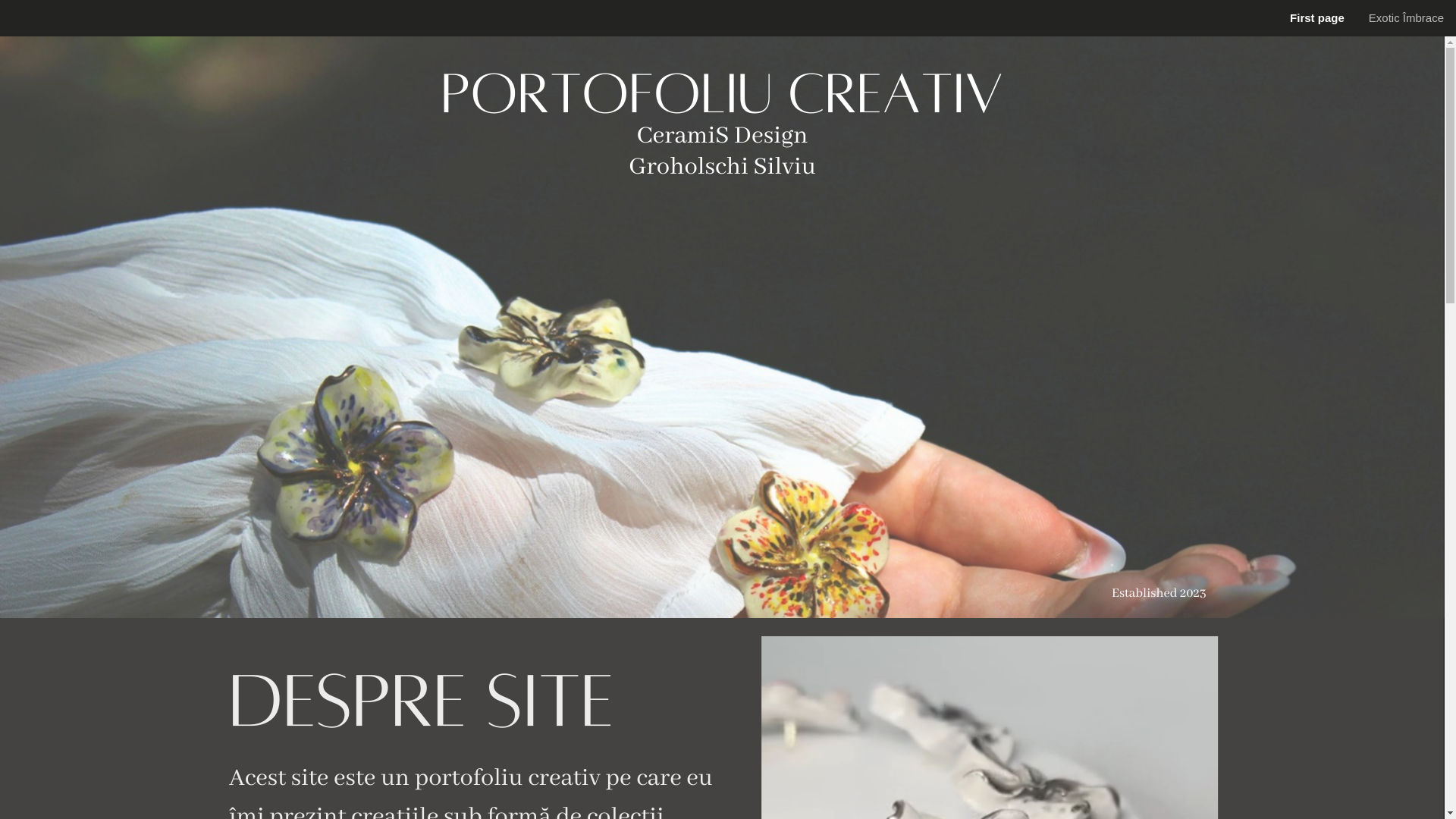 website screenshot of https://ceramisdesign.com/