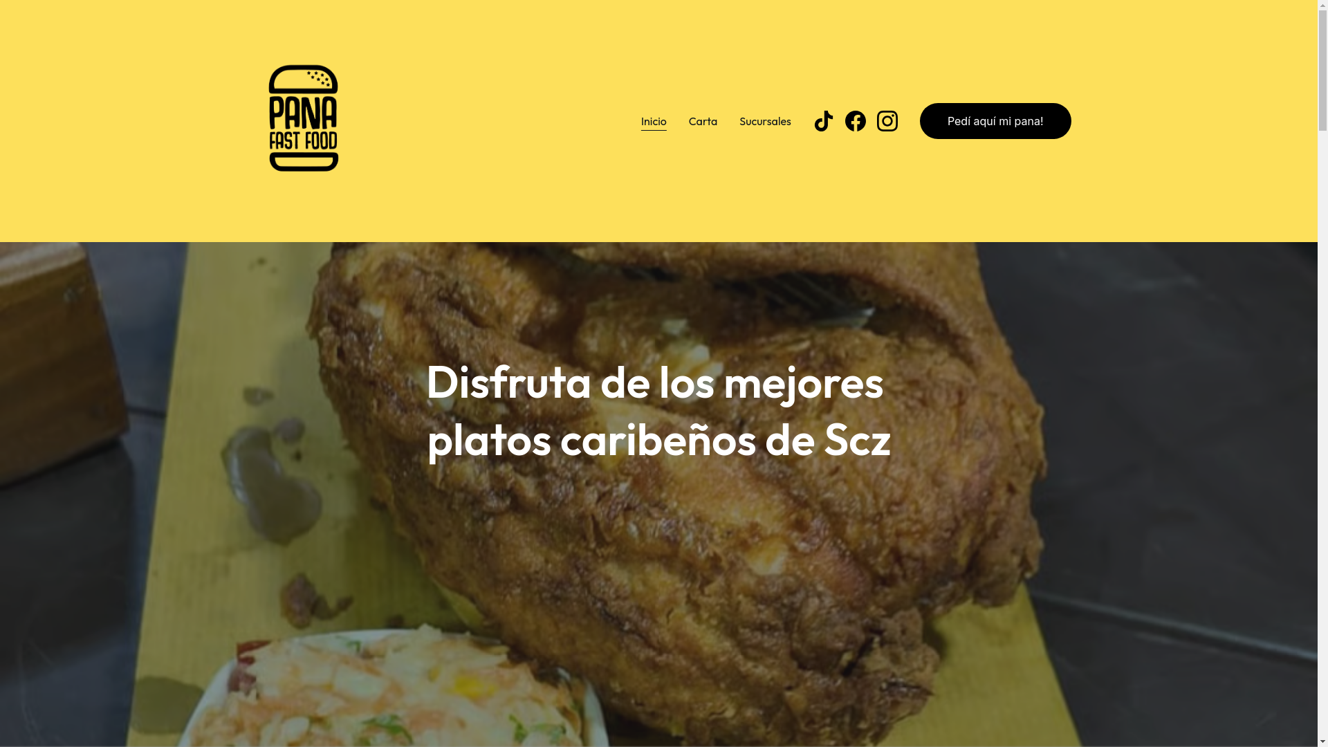 website screenshot of https://panafastfood.com/