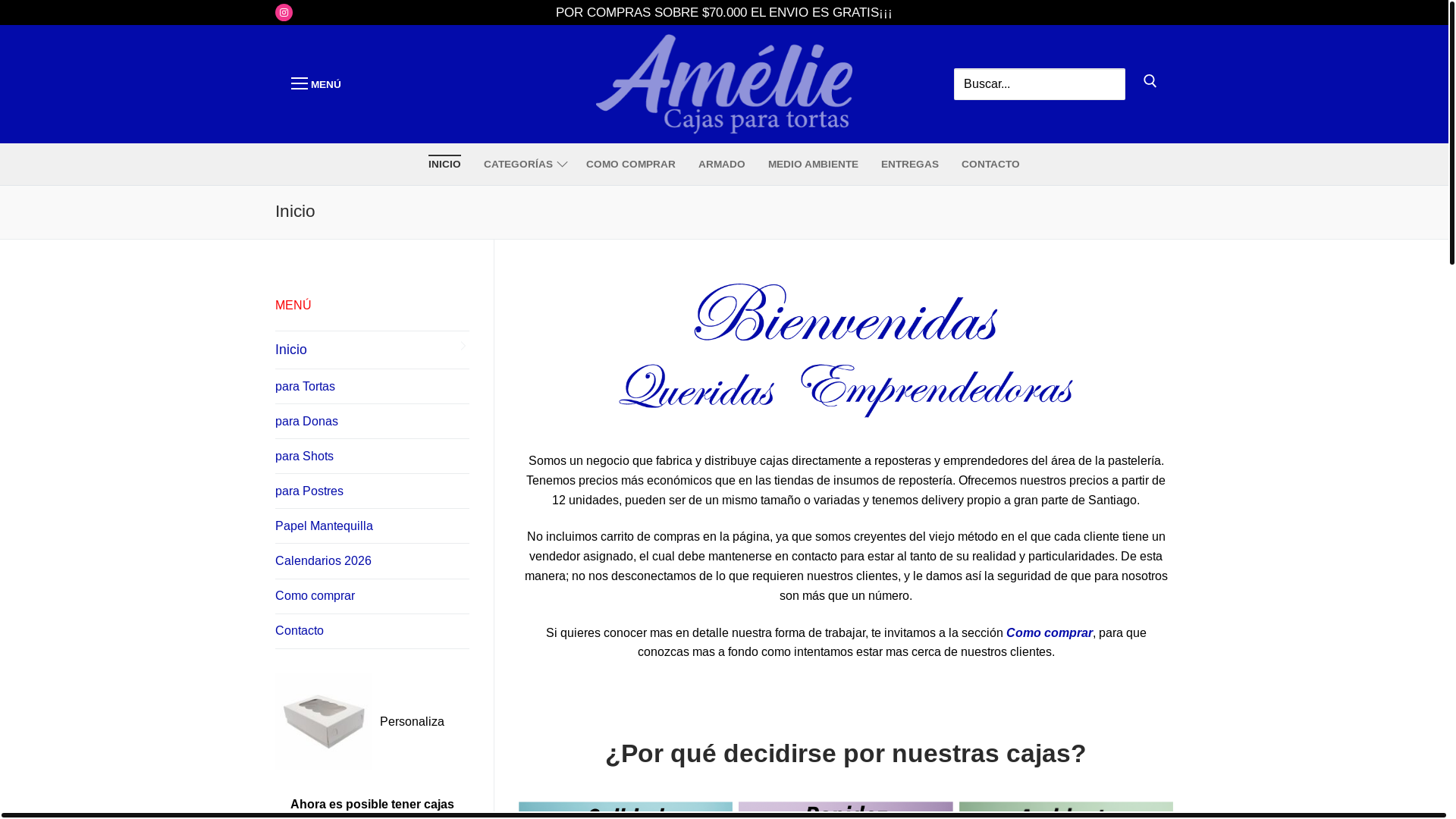 website screenshot of https://cajasamelie.cl/