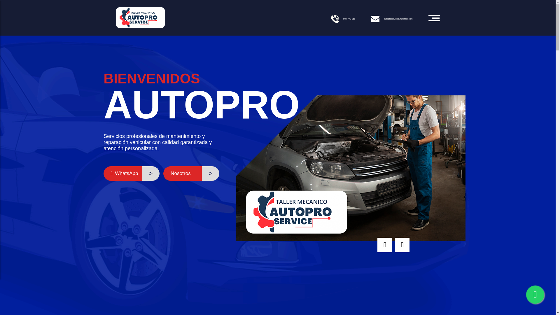 website screenshot of https://autopro-service.com/
