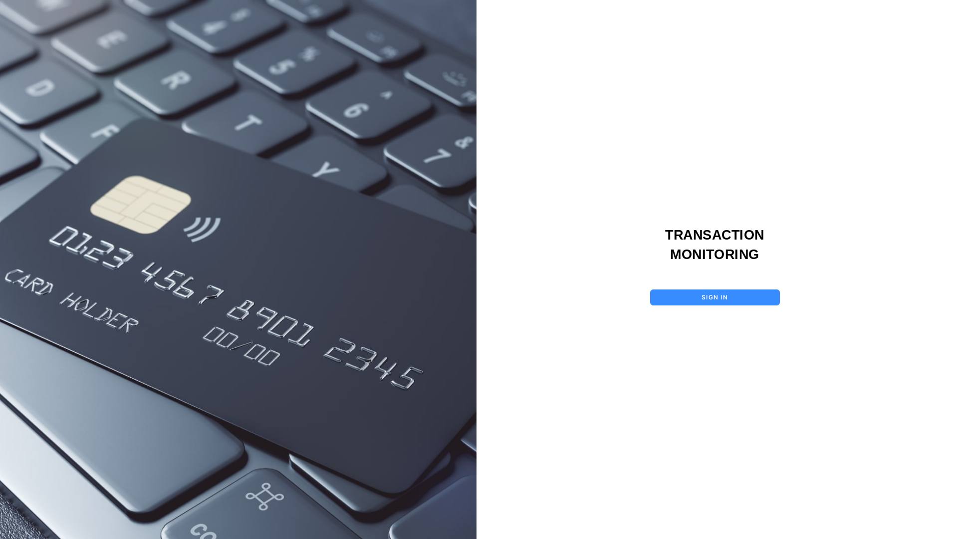 website screenshot of https://transaction-monitoring-uat.pages.dev/