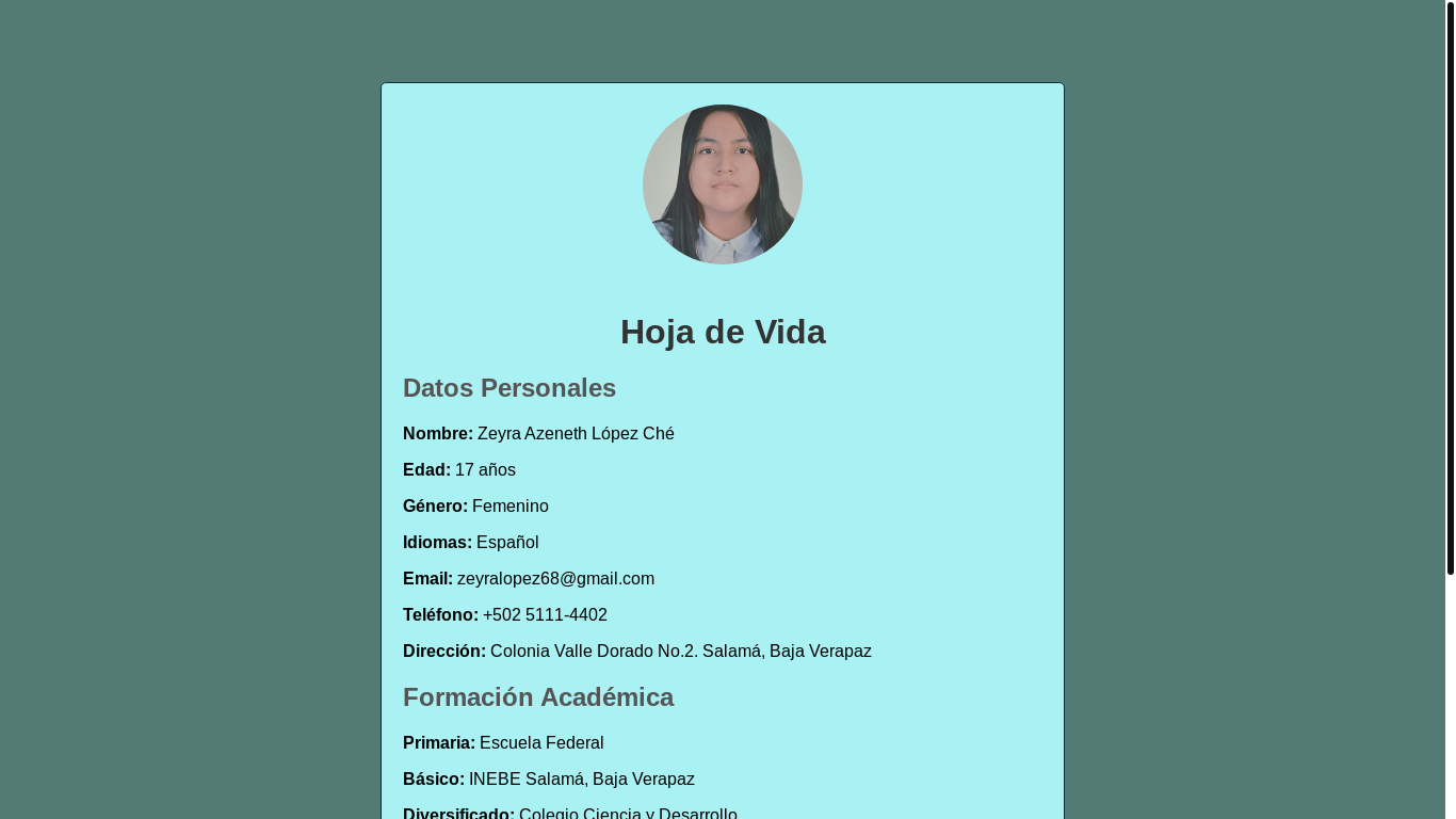 website screenshot of https://zlopezche.pages.dev/