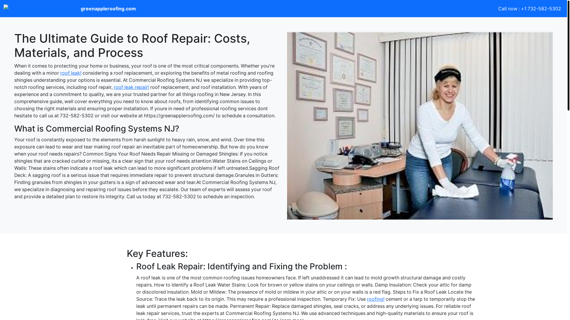 website screenshot of https://theultimateguidetoroofrepaircostsmaterialsandprocess.pages.dev/