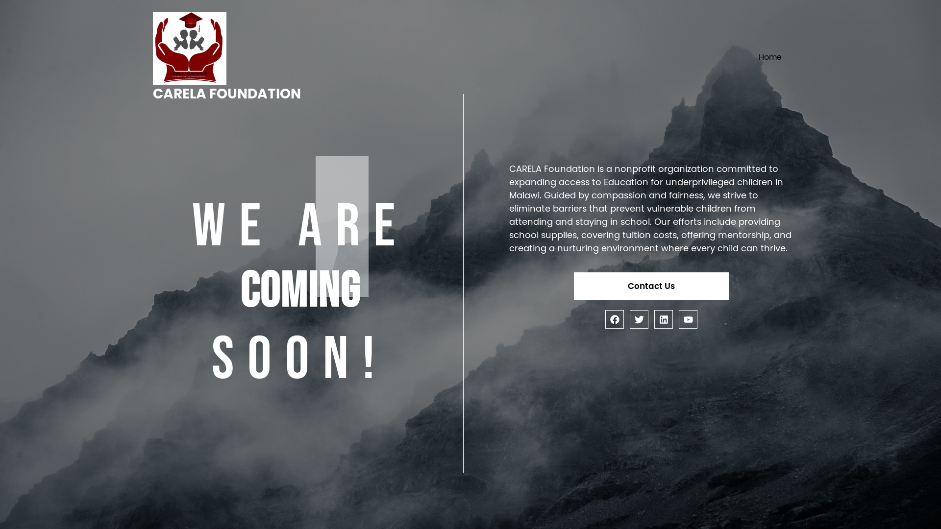 website screenshot of https://carelafoundation.org/
