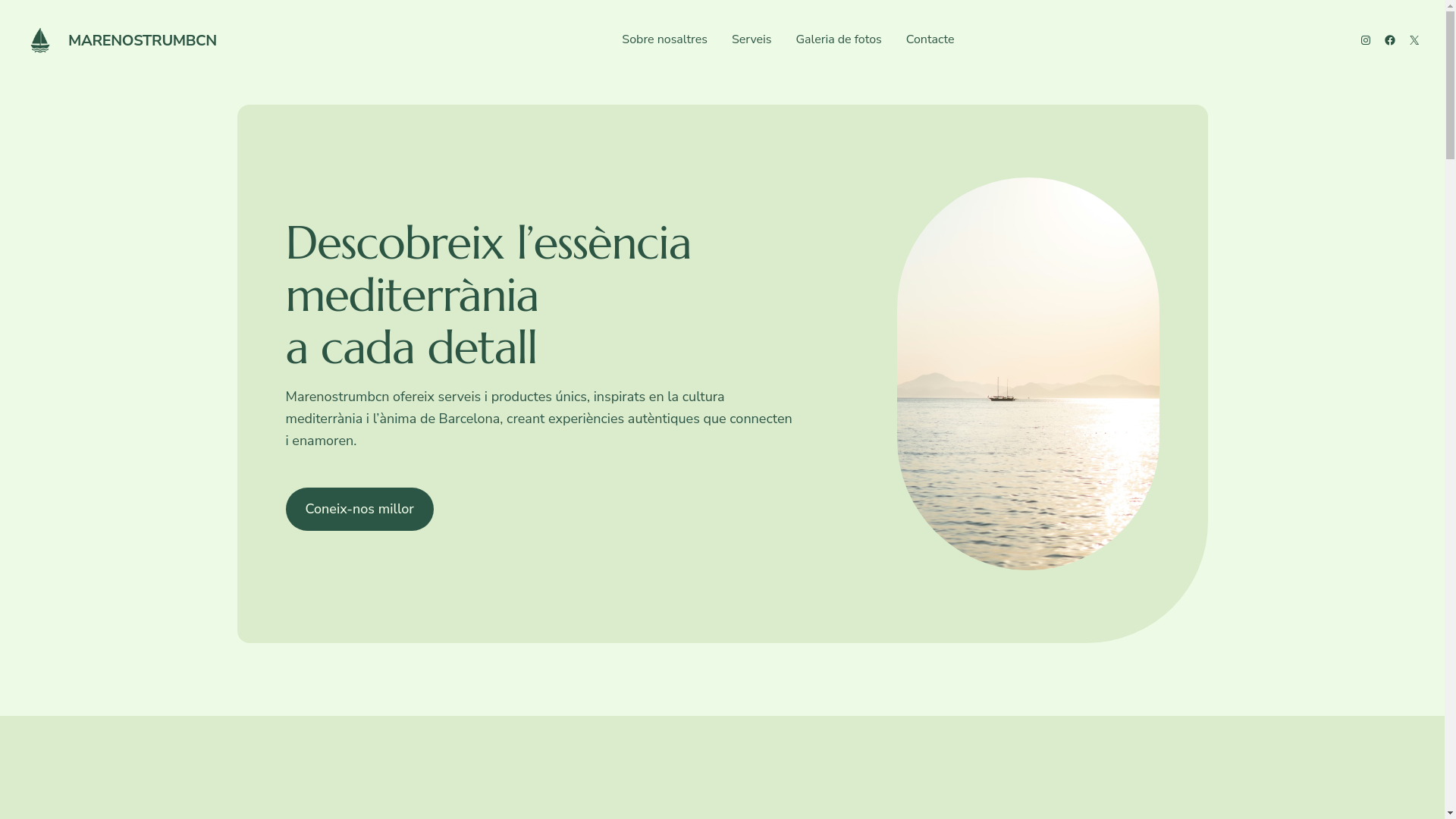 website screenshot of https://marenostrumbcn.com/