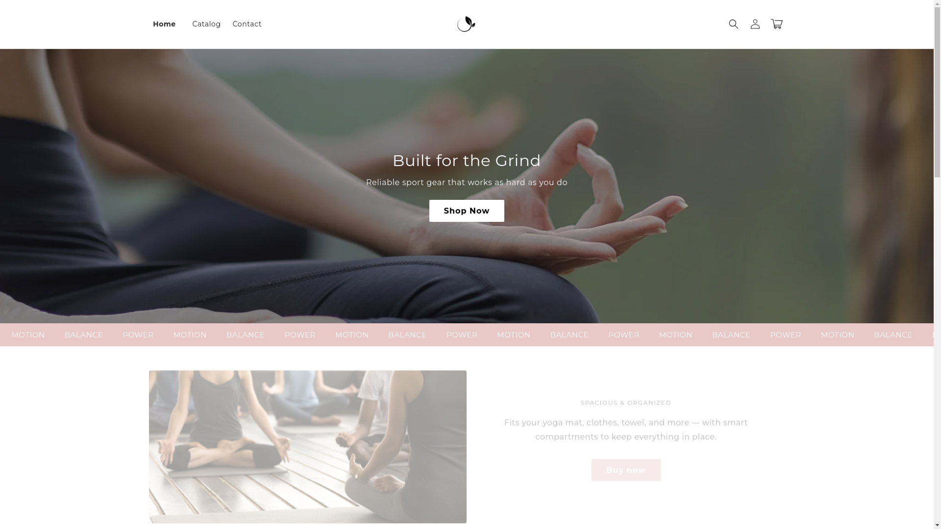 website screenshot of https://wakeupholistic.com/