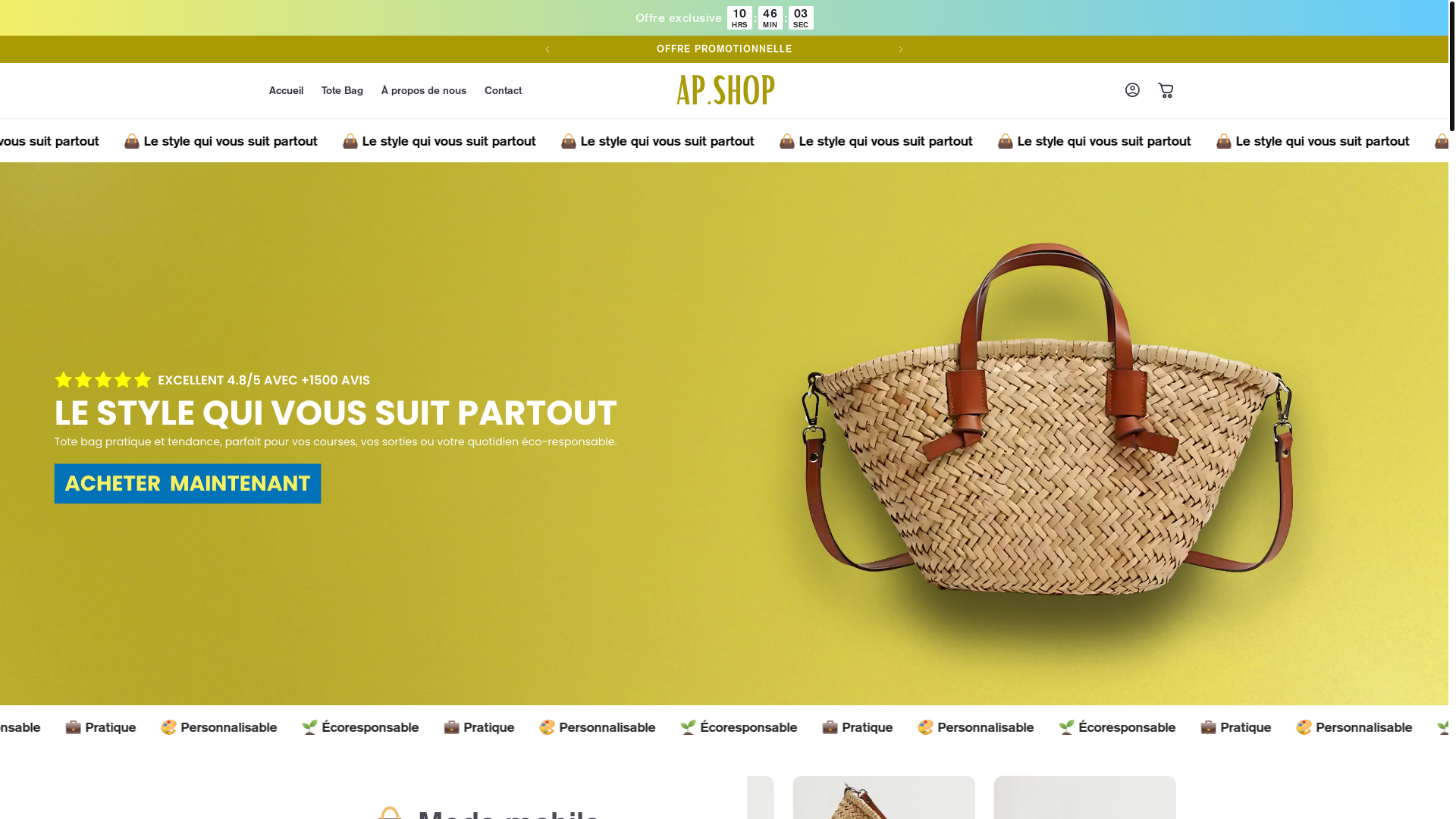 website screenshot of https://aptotebag.com/
