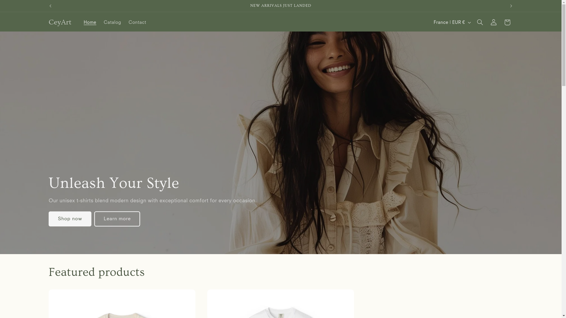 website screenshot of https://lceyart.com/