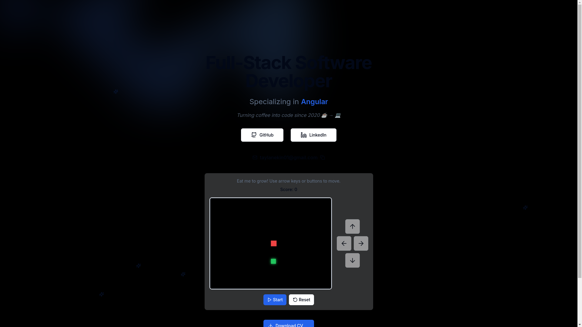website screenshot of https://portfoliowebsite12.pages.dev/