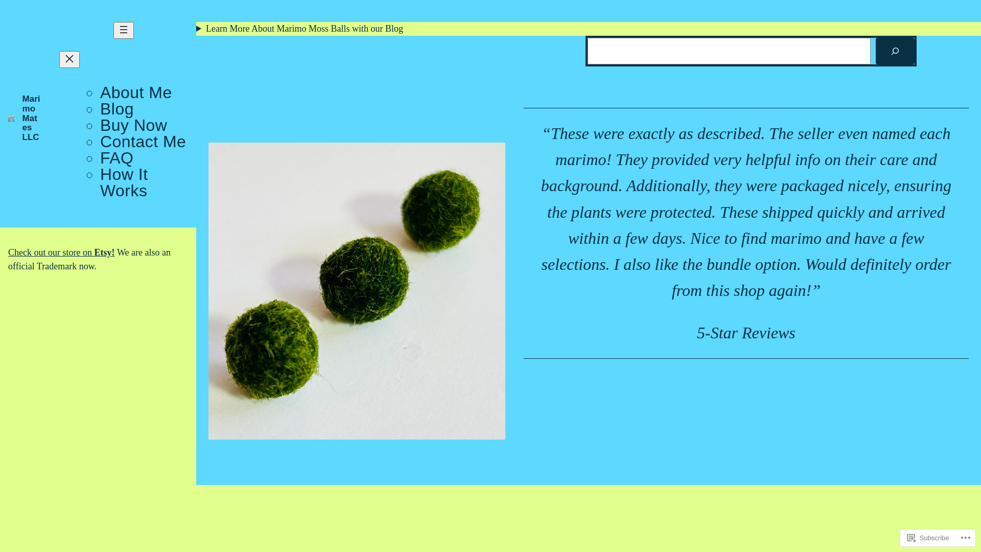 website screenshot of https://marimomates.org/