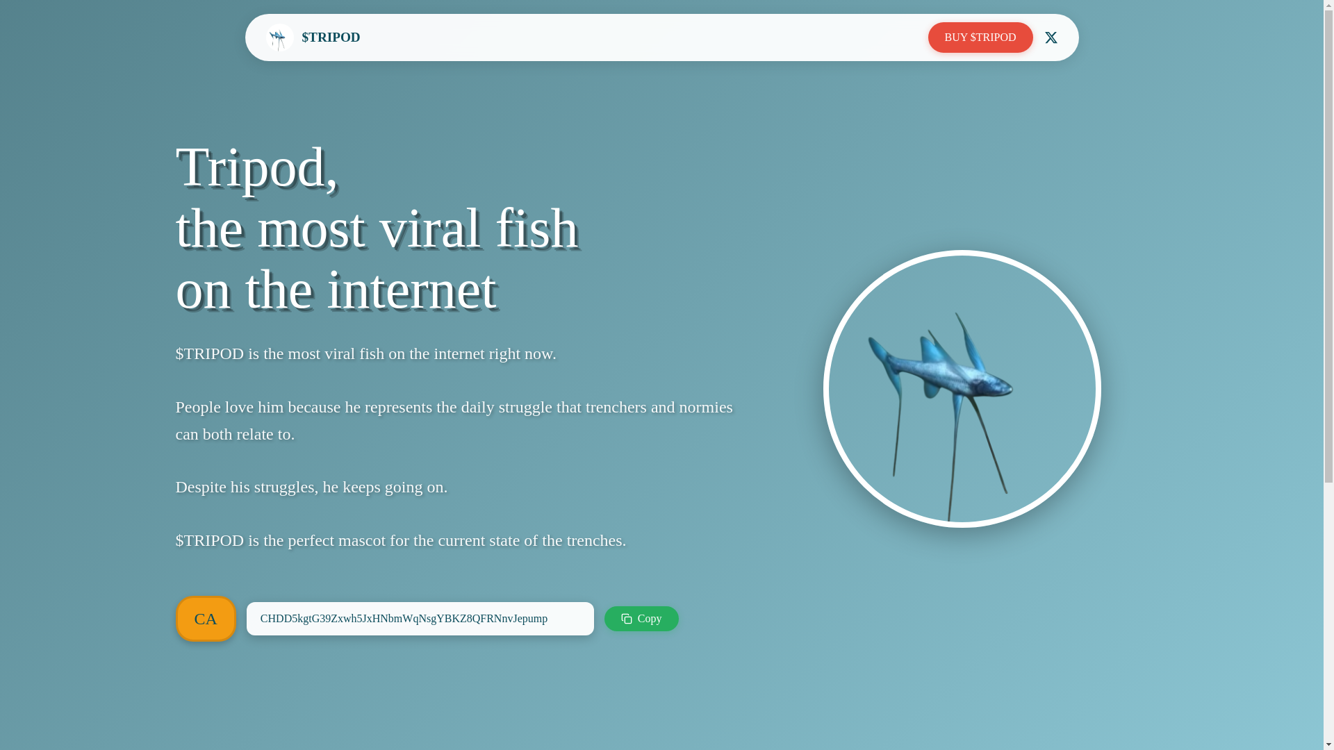 website screenshot of https://tripodsol.fun/