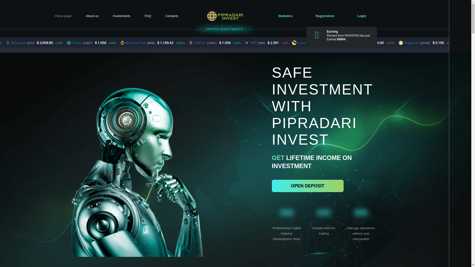 website screenshot of http://www.pipradariinvest.com