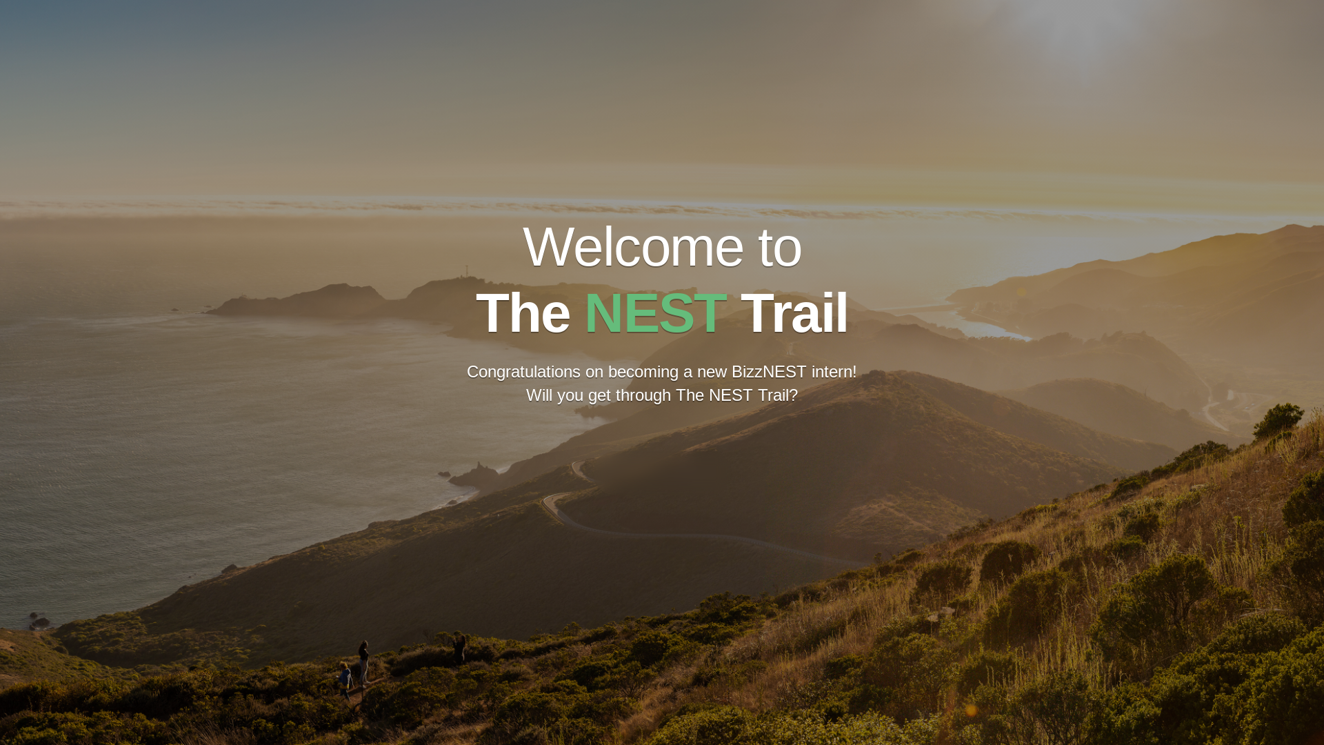 website screenshot of https://the-nest-trail.pages.dev/