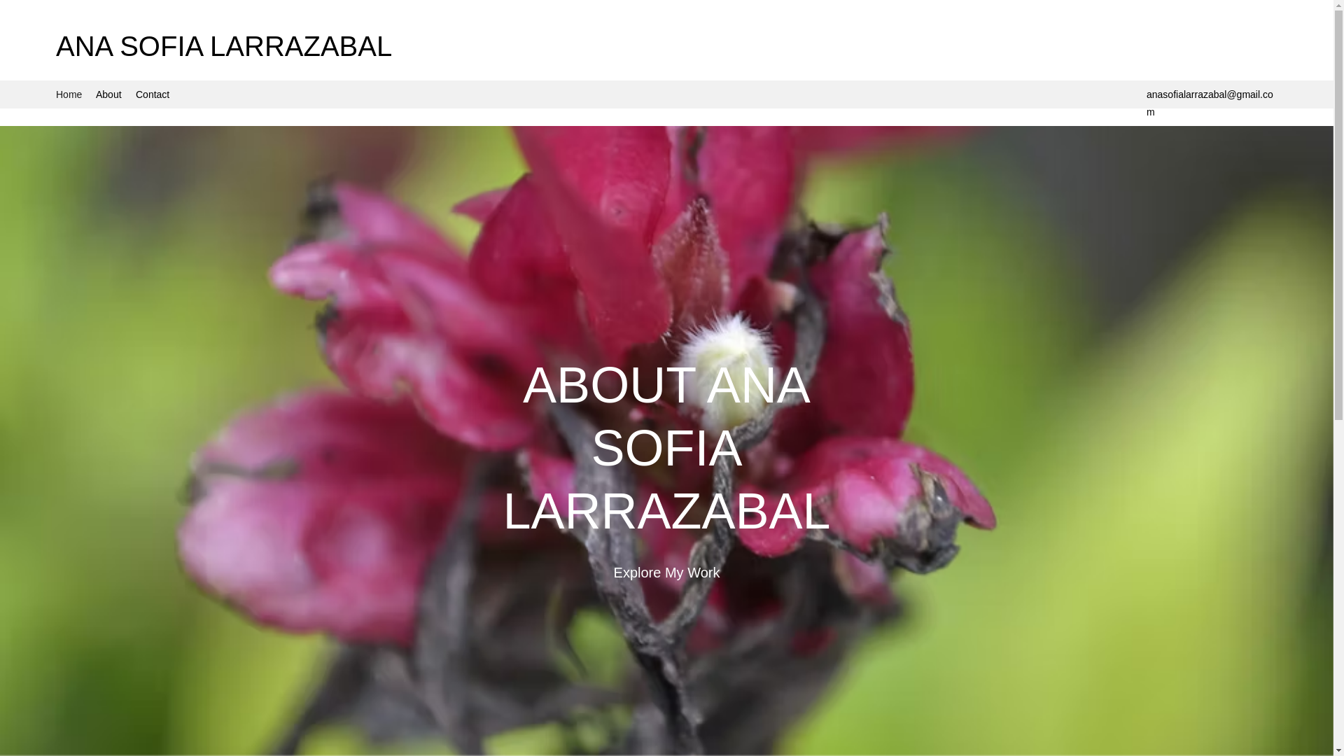 website screenshot of https://luccheselarrazabalwedding.com/