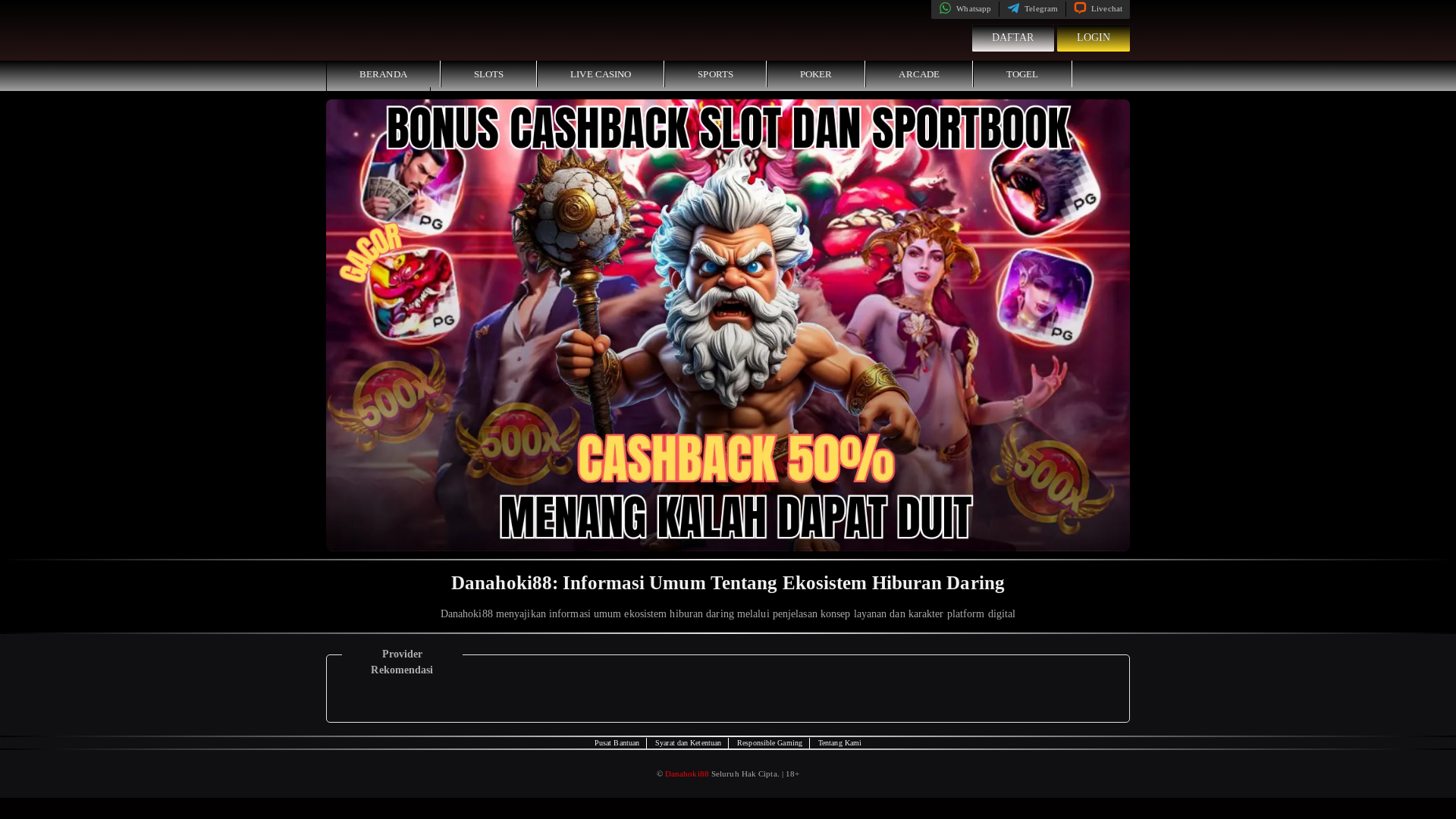 website screenshot of https://danahoki88.org/