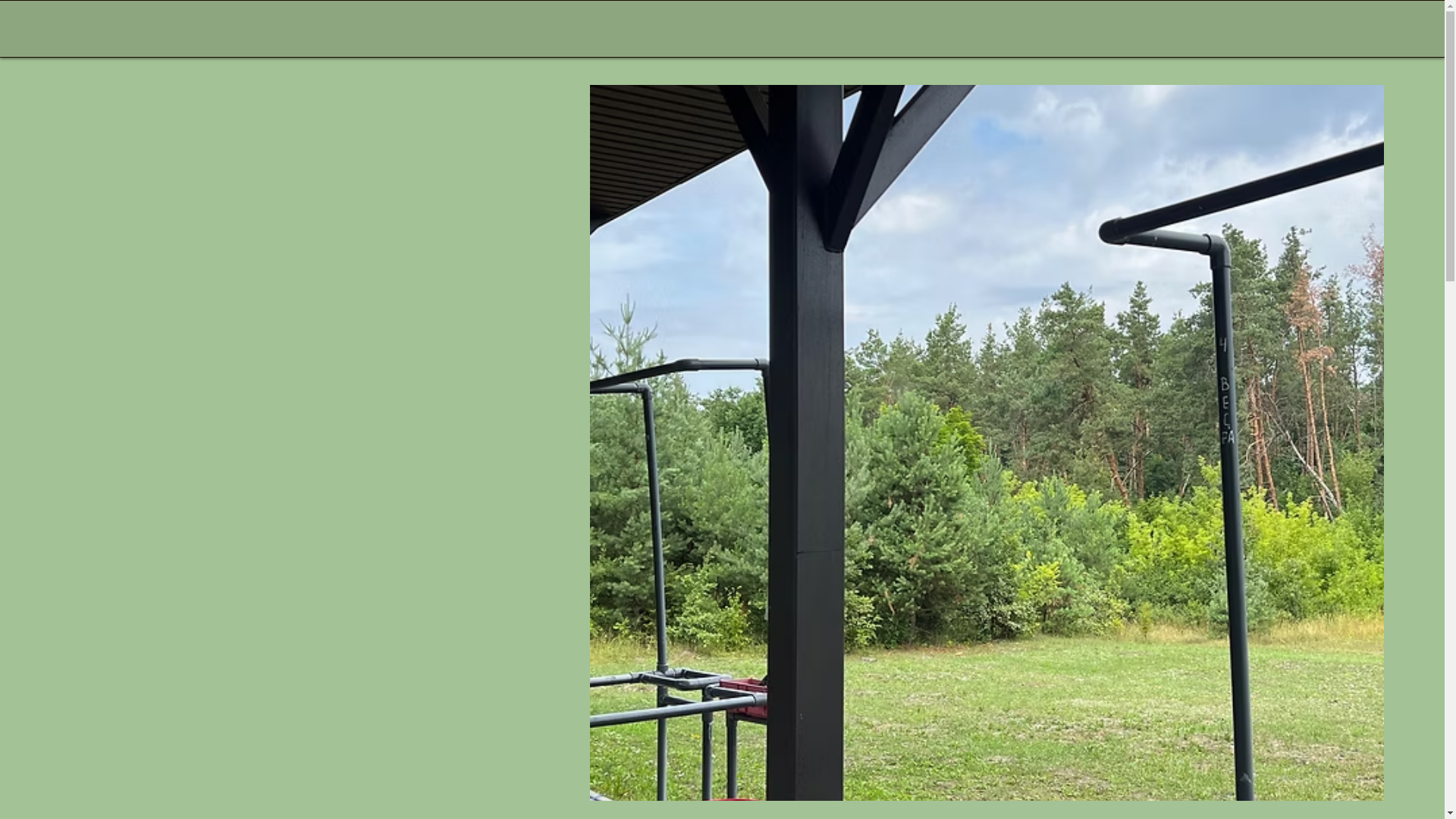 website screenshot of https://skgreengrove.com/