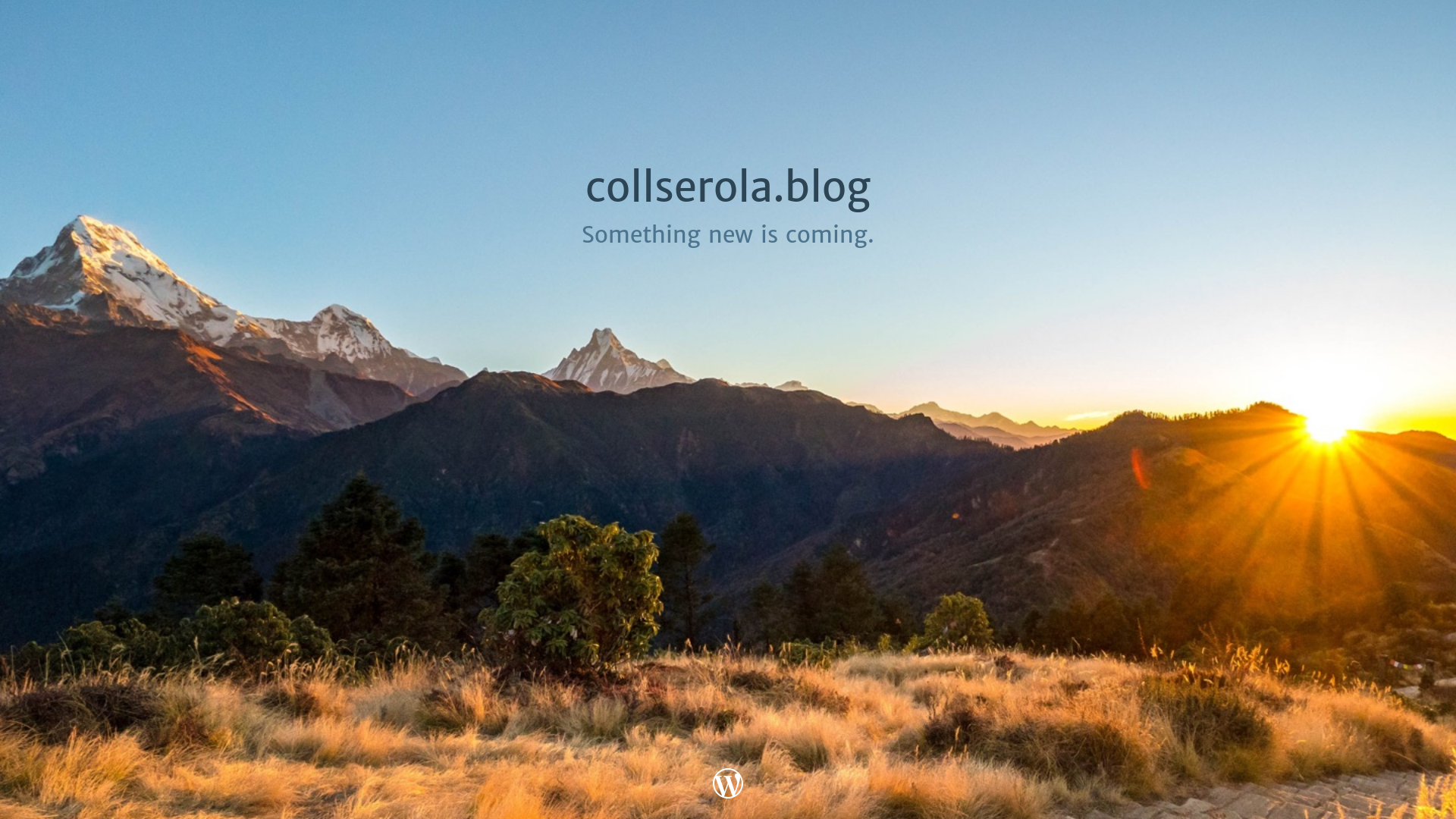 website screenshot of https://collserola.blog/