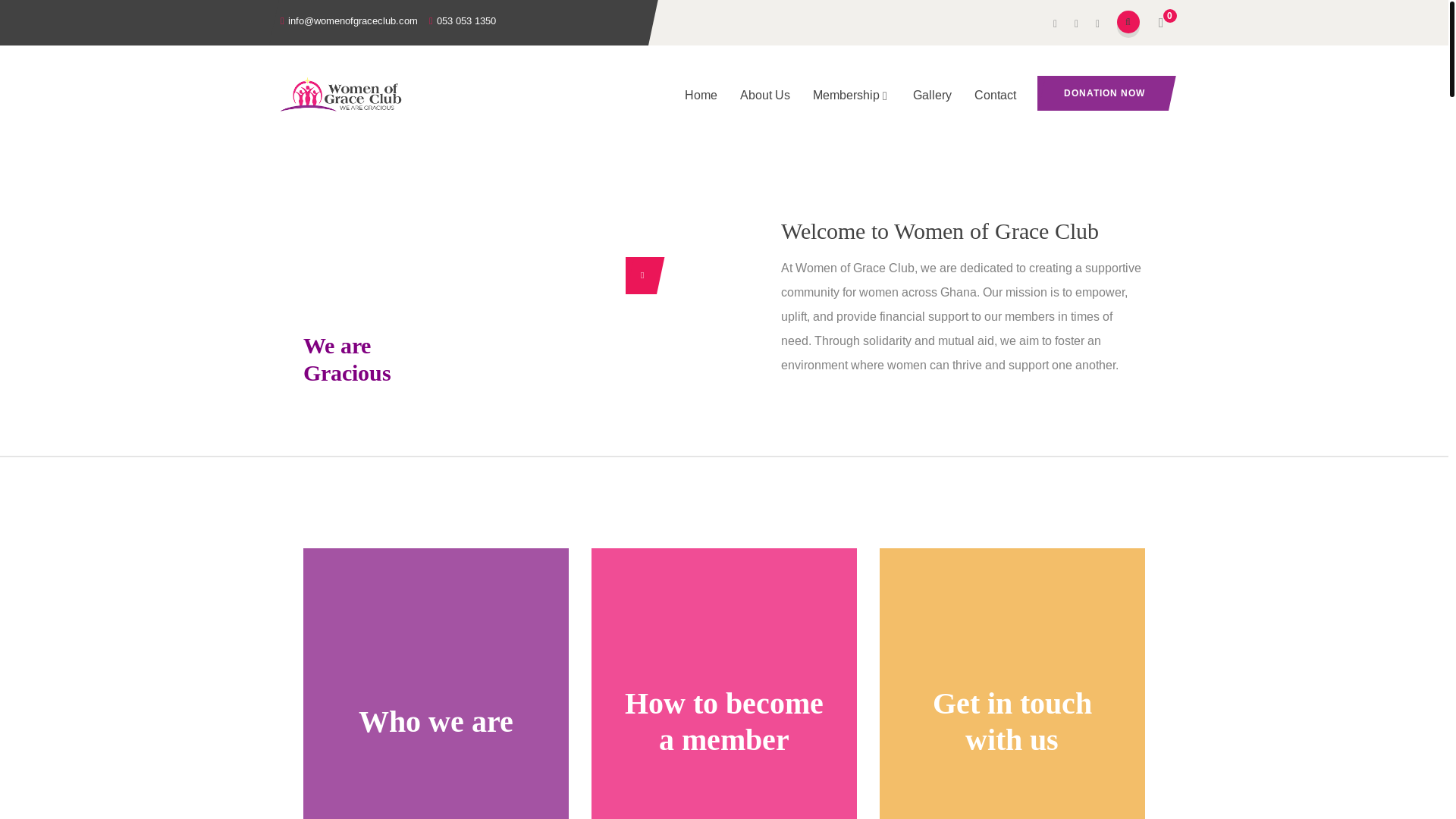 website screenshot of https://womenofgracefoundation.com/