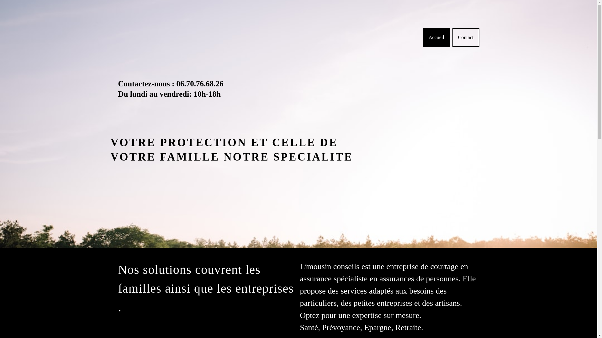 website screenshot of https://limousinconseils.com/