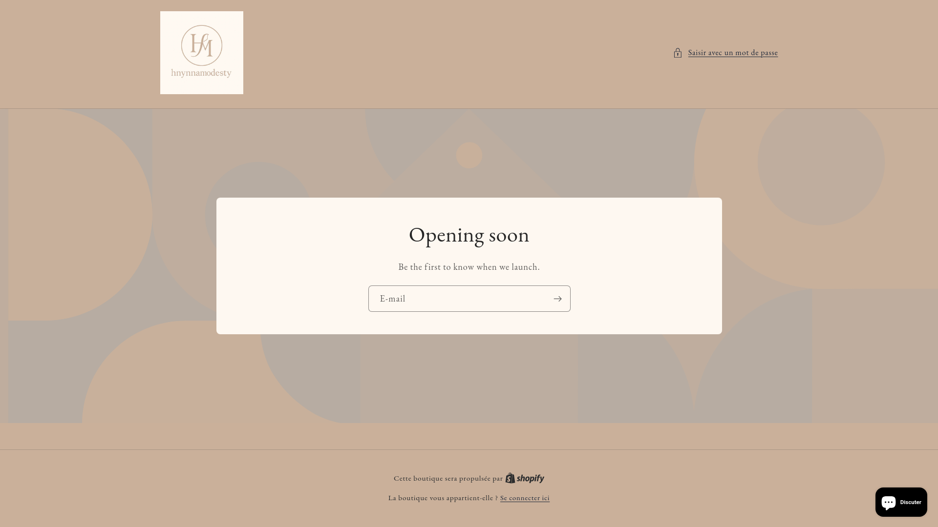 website screenshot of https://hnynnamodesty.fr/