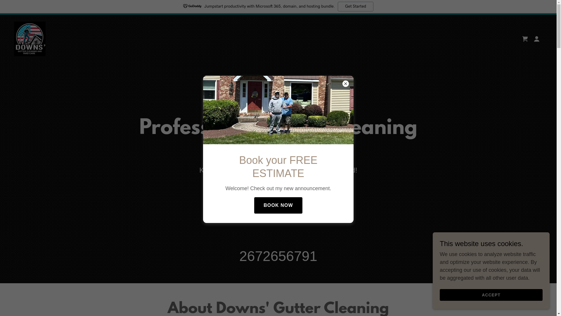 website screenshot of https://downsguttercleaningnadyardcare.com/