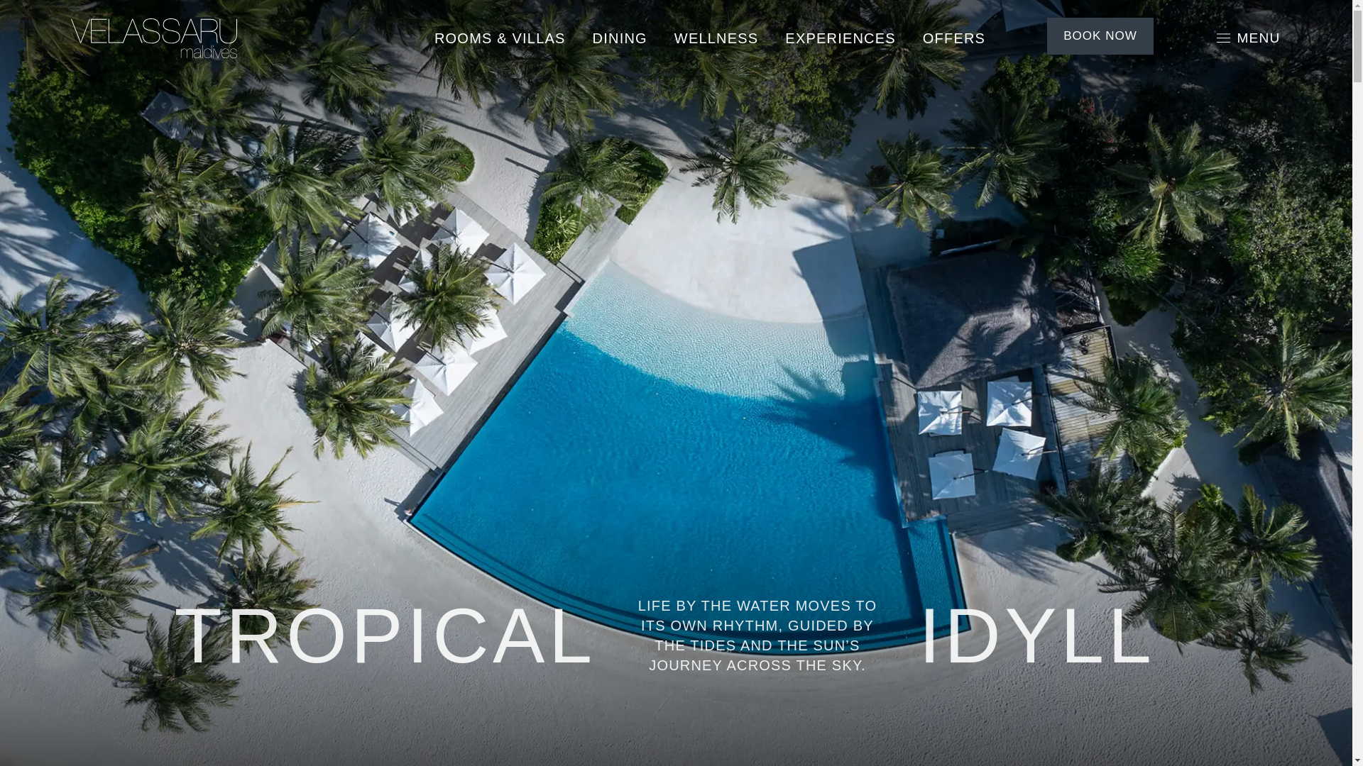 website screenshot of https://velassaru.com/