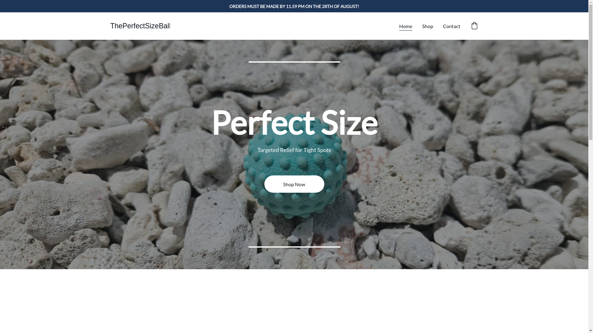 website screenshot of https://theperfectsizeball.com/