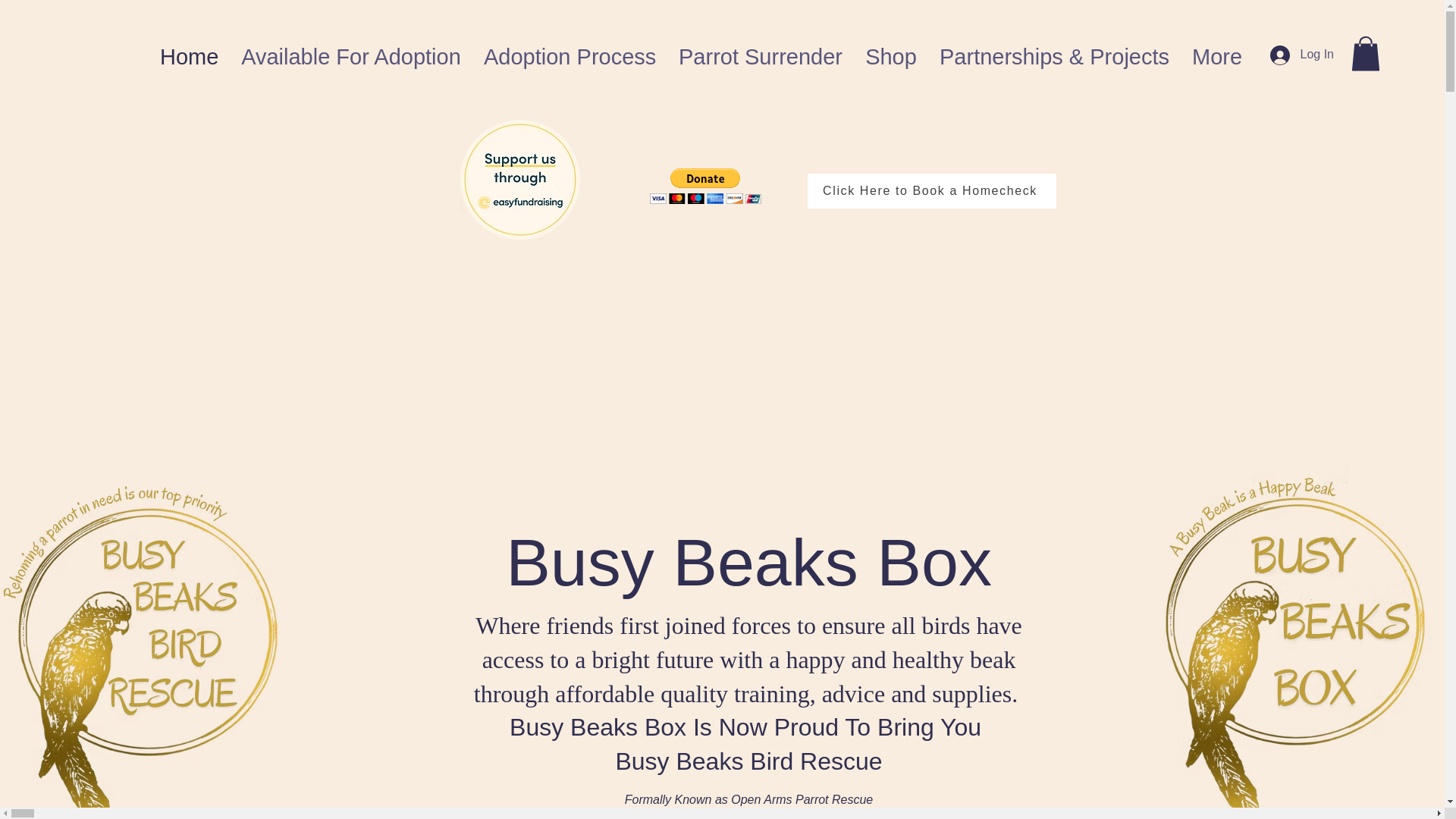 website screenshot of https://busybeaksbirdrescue.com/