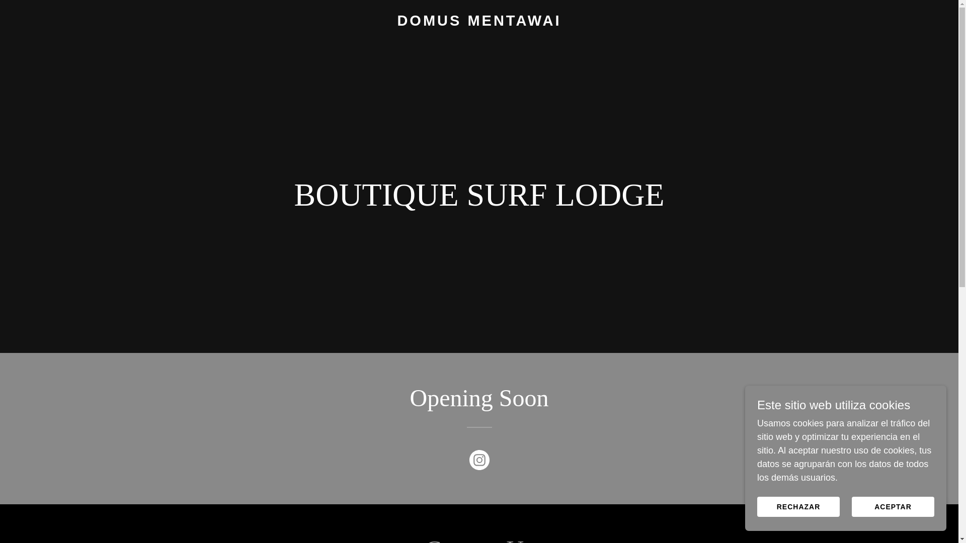 website screenshot of https://domusmentawai.com/