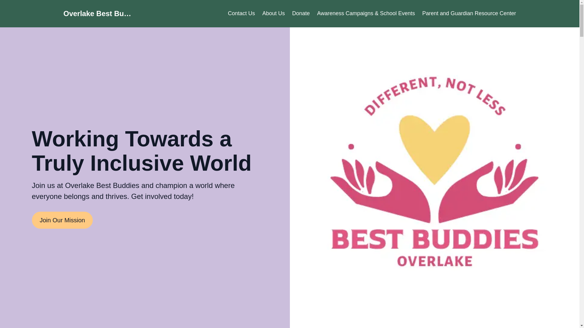 website screenshot of https://over-lake-b-buddies.com/