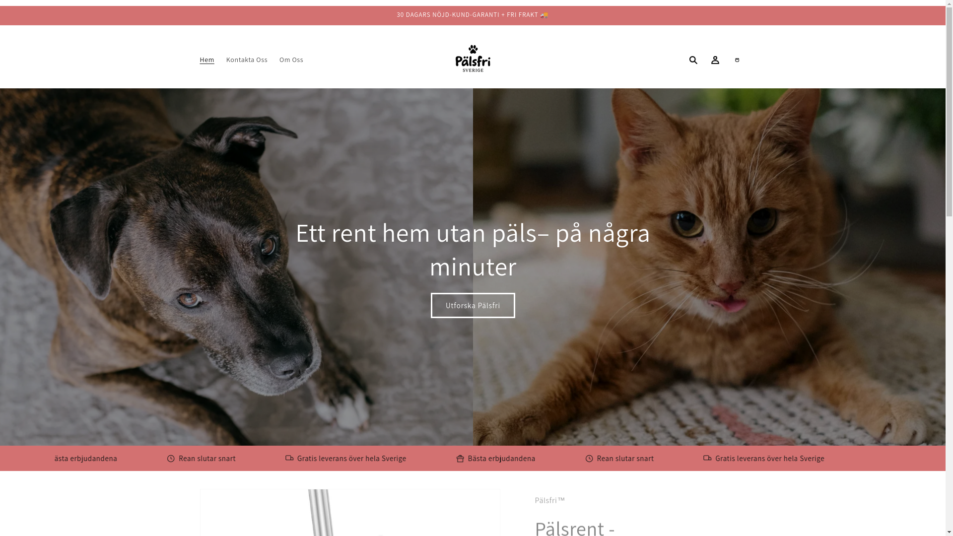 website screenshot of https://xn--plsfrisverige-bfb.se/