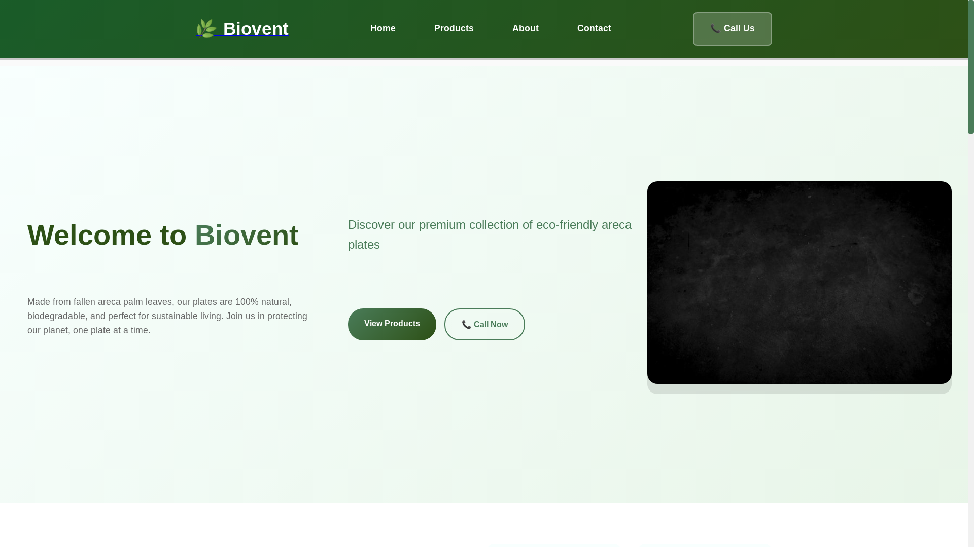 website screenshot of https://biovent.pages.dev/