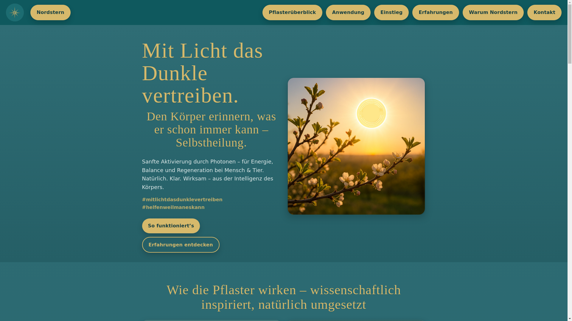 website screenshot of https://nordstern.life/