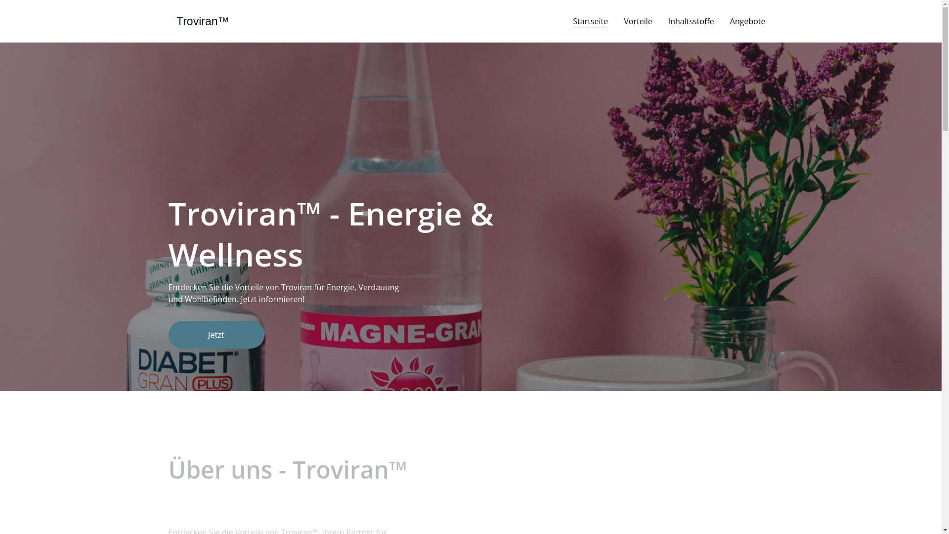 website screenshot of https://trovirandiet.de/