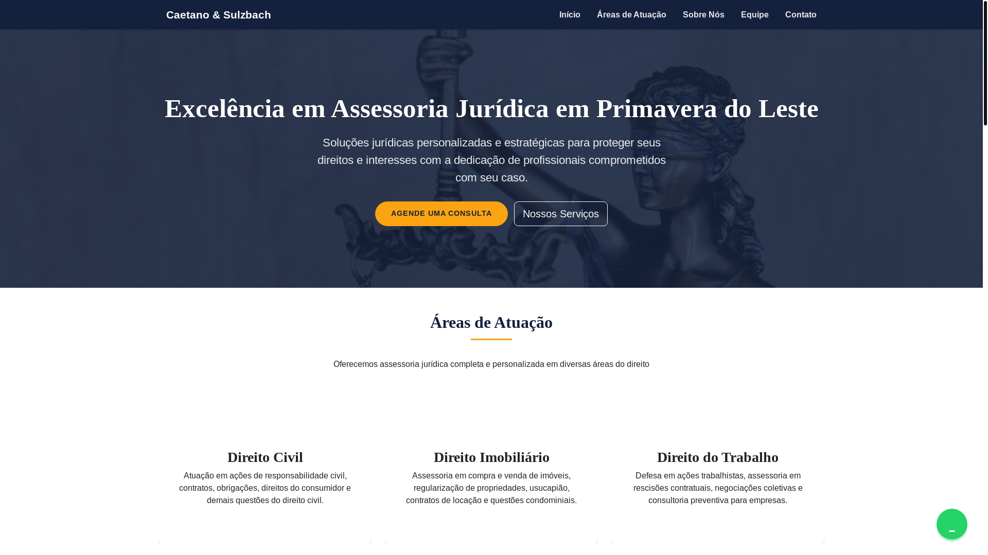 website screenshot of https://caetanosulzbach.store/