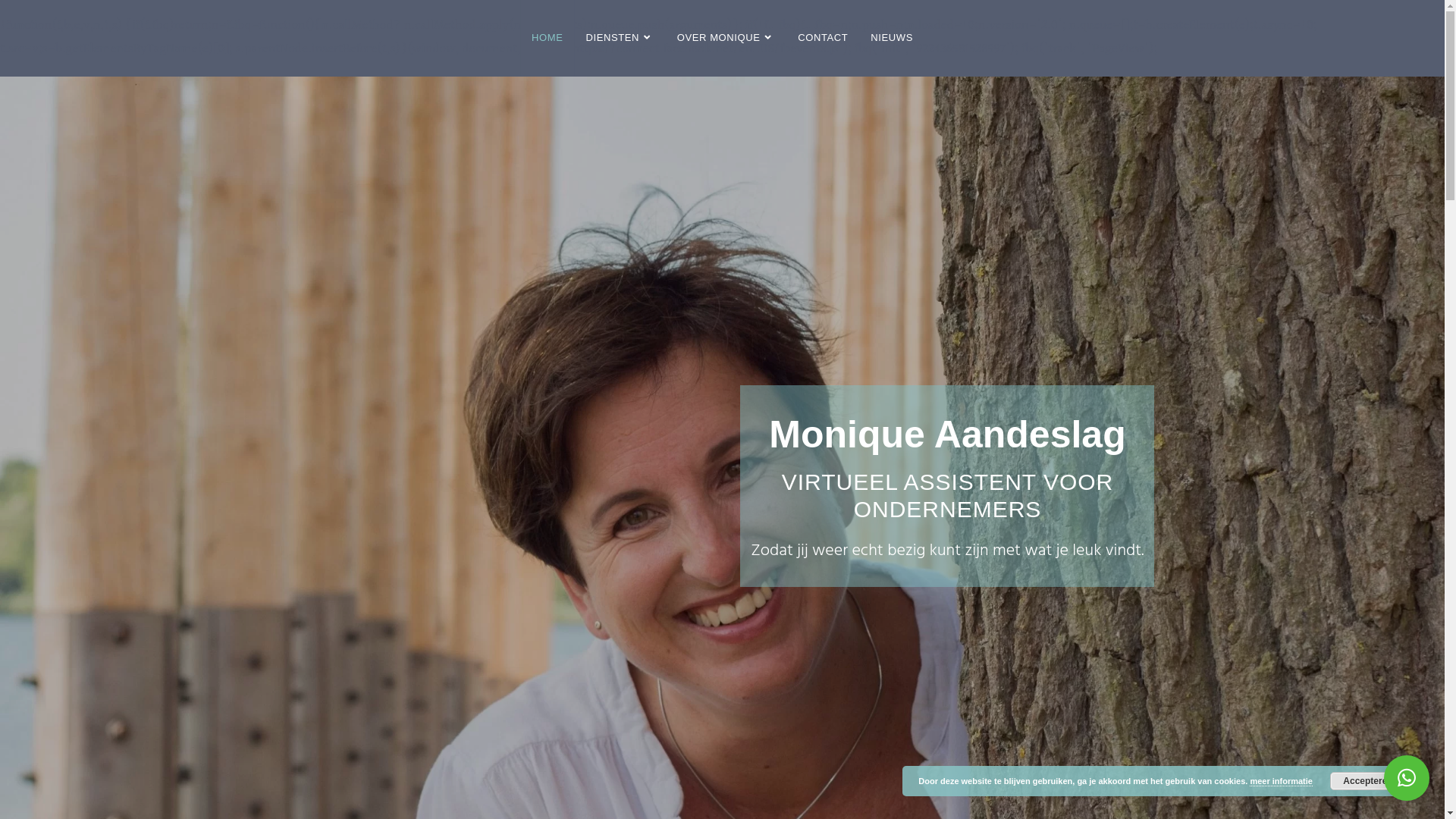 website screenshot of https://studioaandeslag.nl/