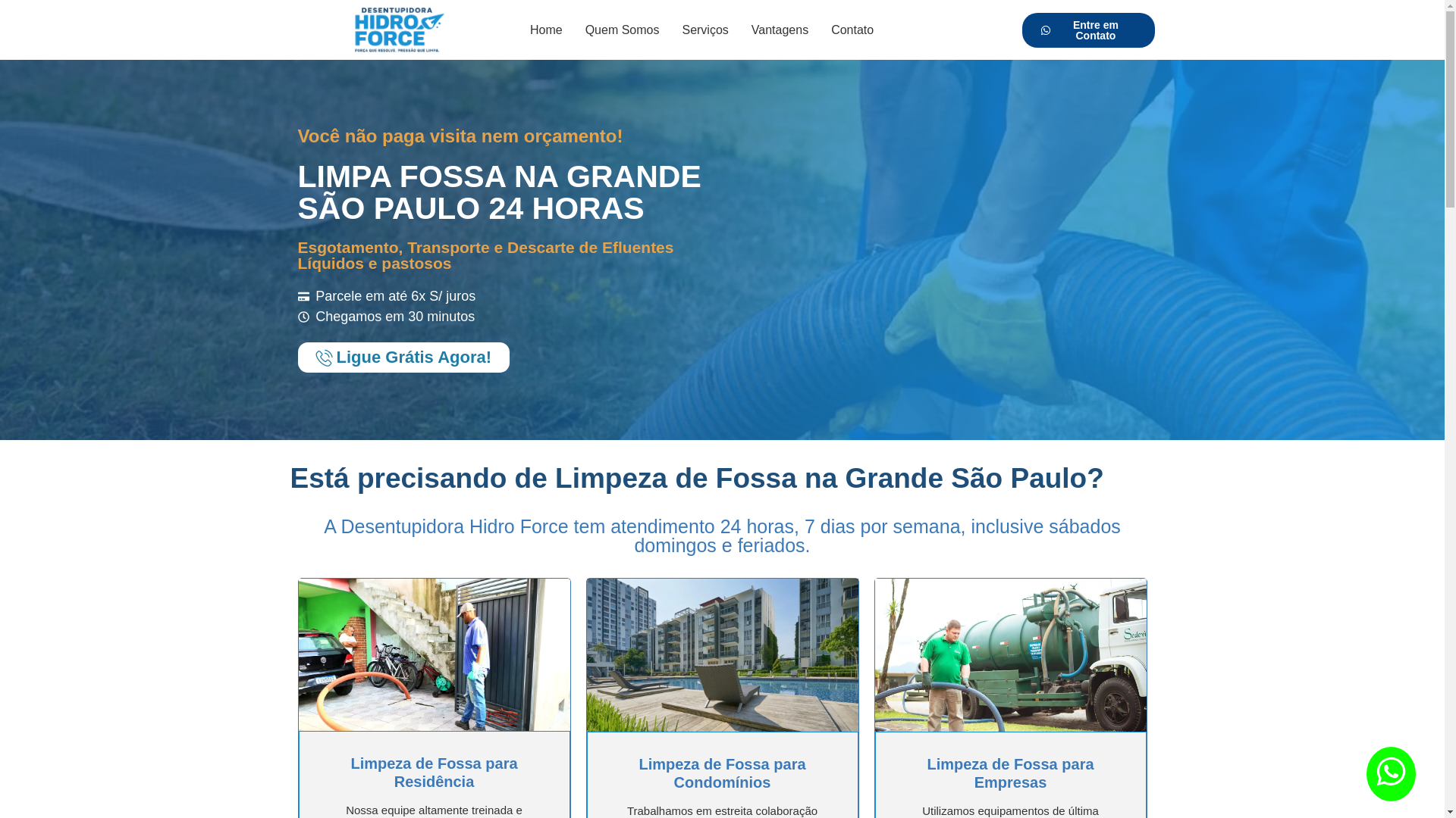 website screenshot of https://desentupidorahidroforce.com.br/
